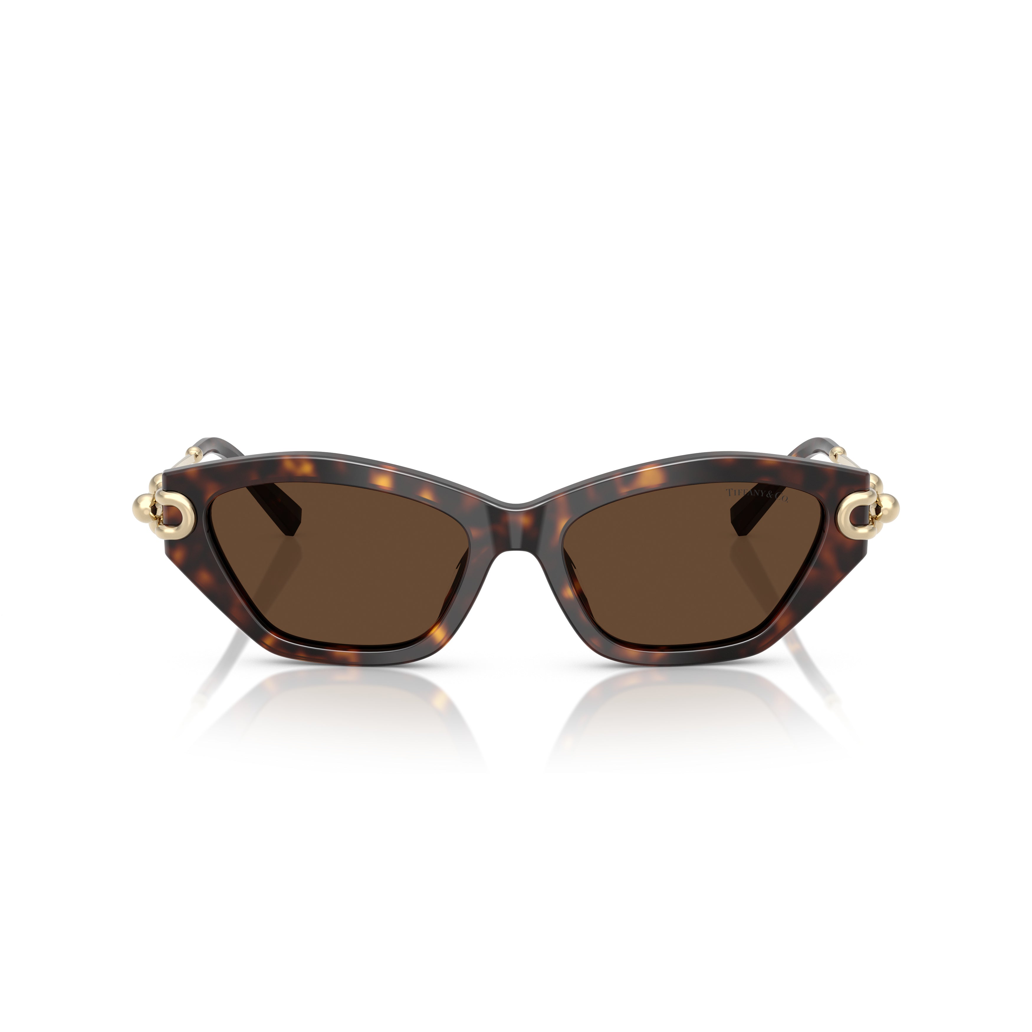 0tf4231u Cat-Eye Sunglasses in Tortoiseshell Acetate