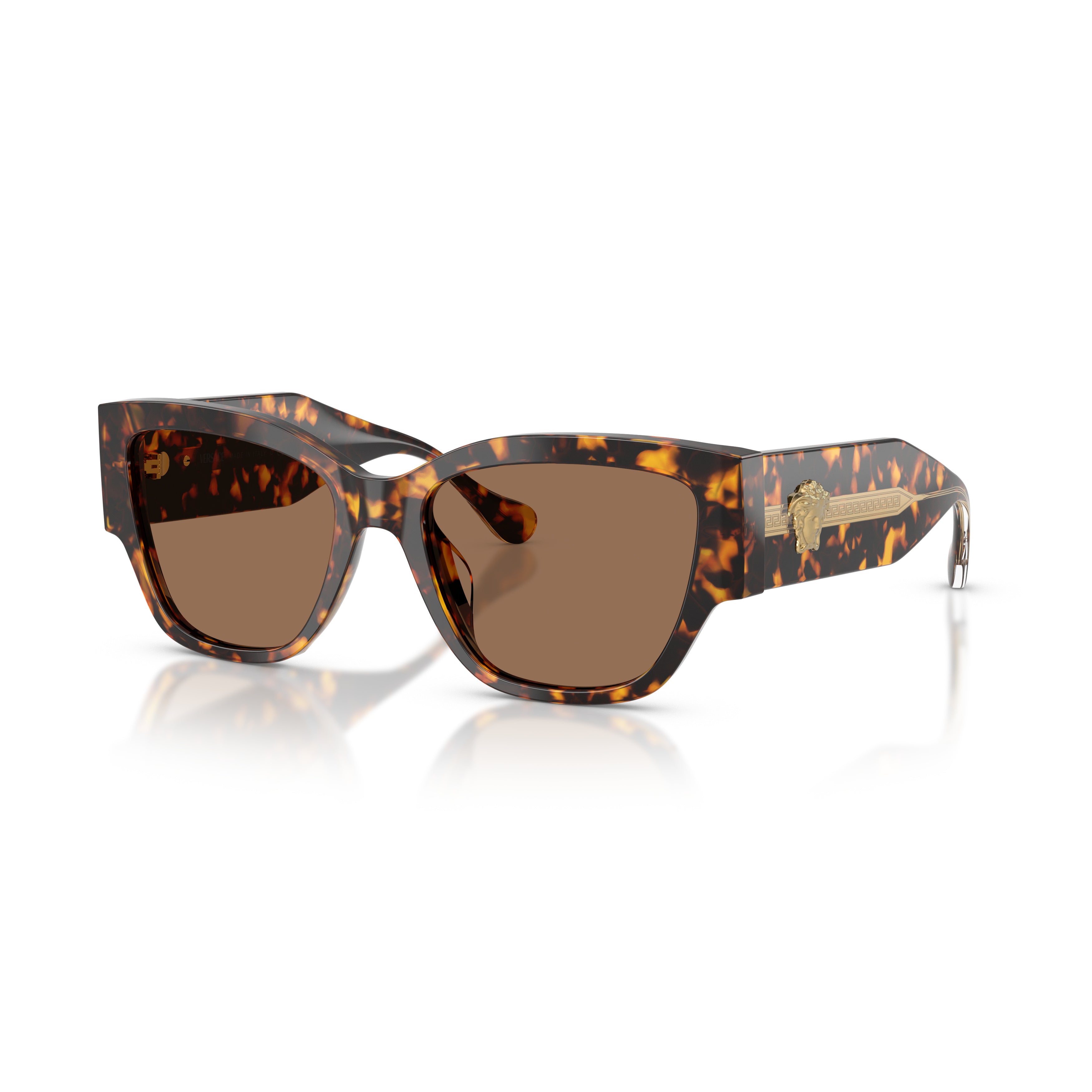 0ve4509u Oversized Tortoiseshell Acetate Sunglasses