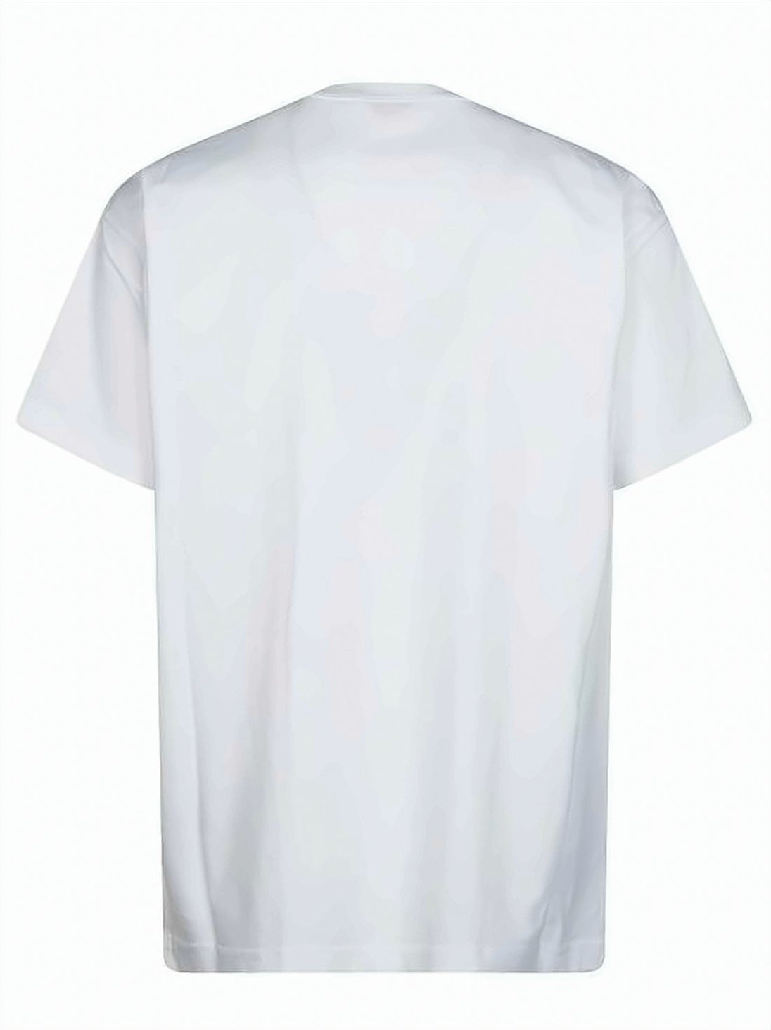 Short-Sleeved Cotton T-Shirt with Dolphin Graphic