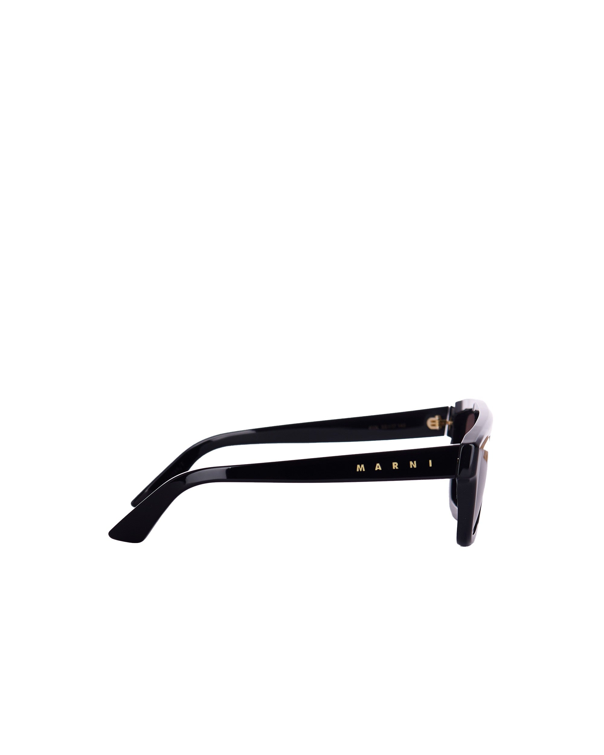 Glossy Black Acetate Sunglasses with ZEISS Lenses