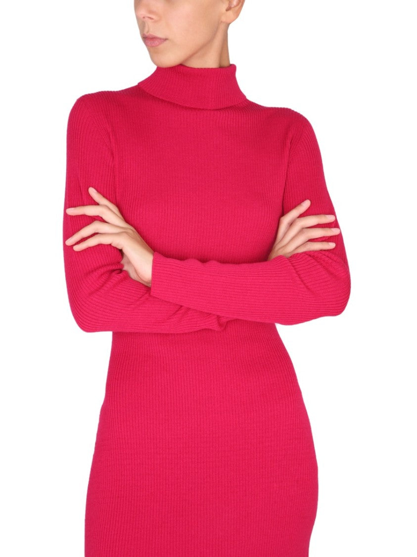 Fitted High Neck Ribbed Knit Dress