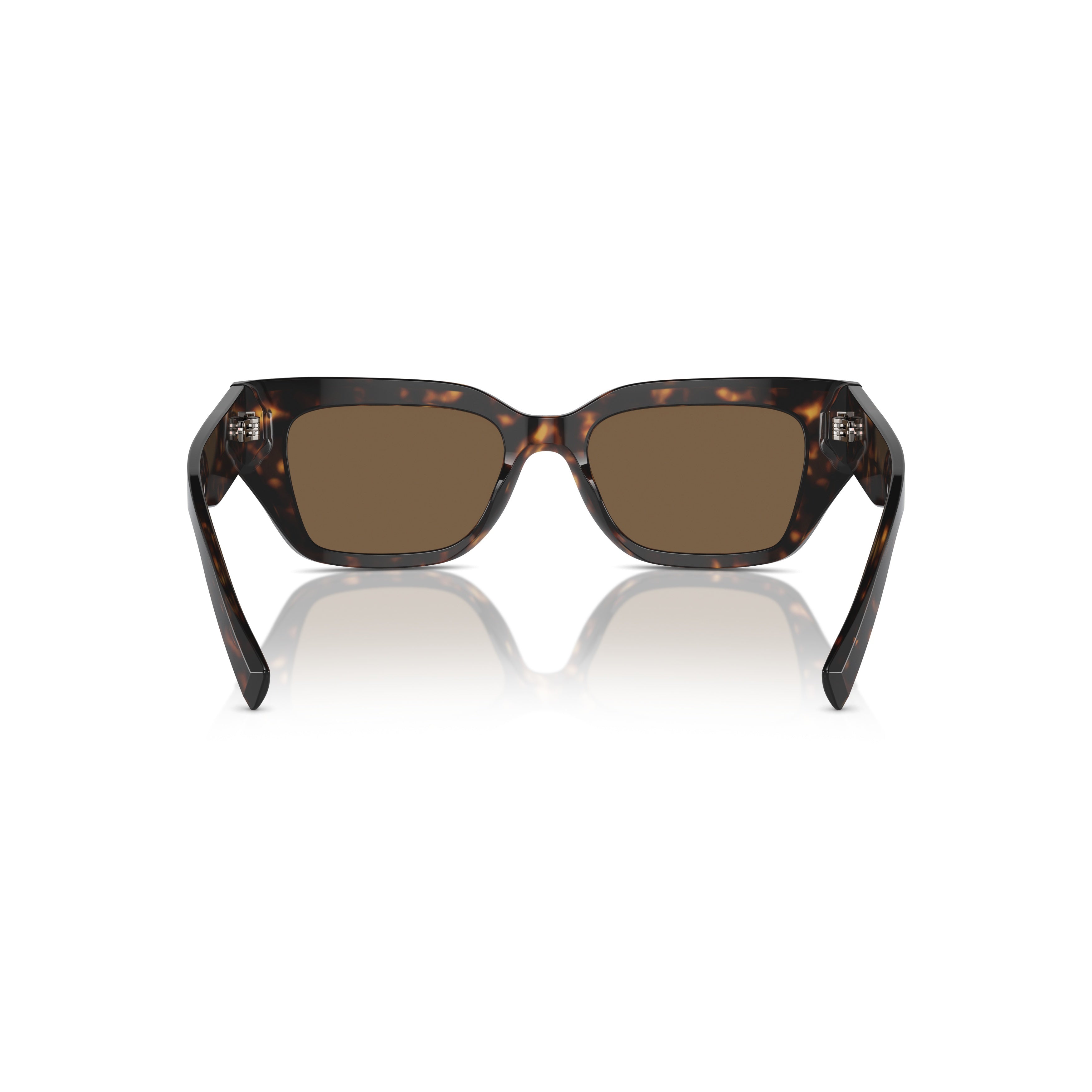0dg4462 Rectangular Tortoiseshell Acetate Sunglasses