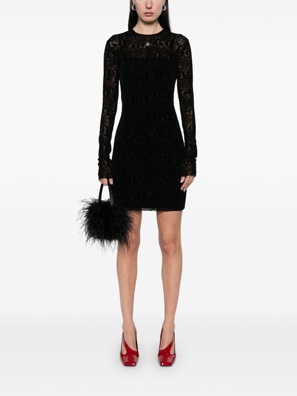 Sheer Lace Mini Dress
