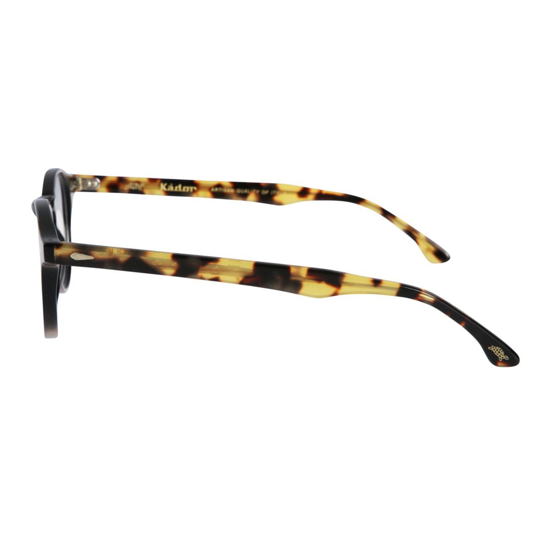 Oxford Classic Round Frame Eyeglasses with Tortoiseshell Temples