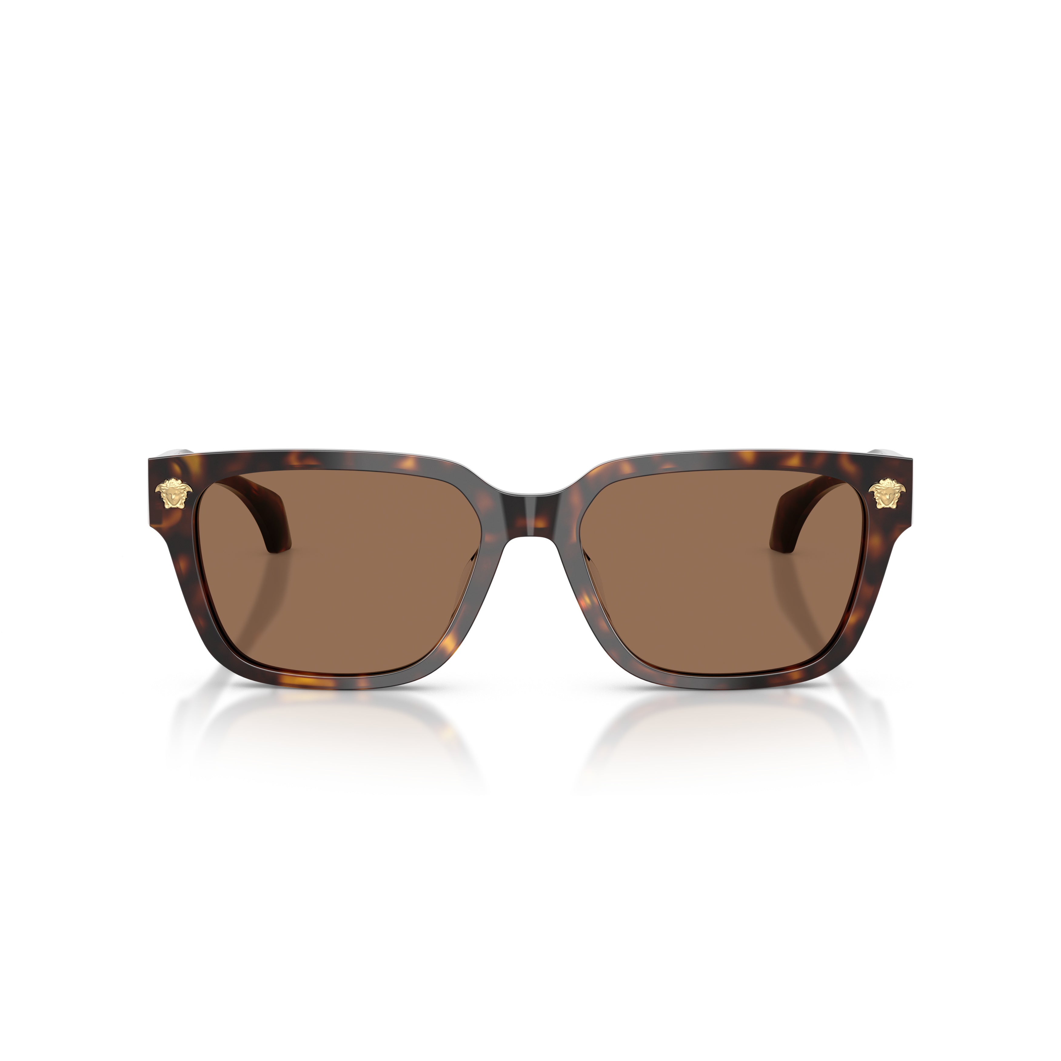 0ve4513d Rectangular Tortoiseshell Acetate Sunglasses