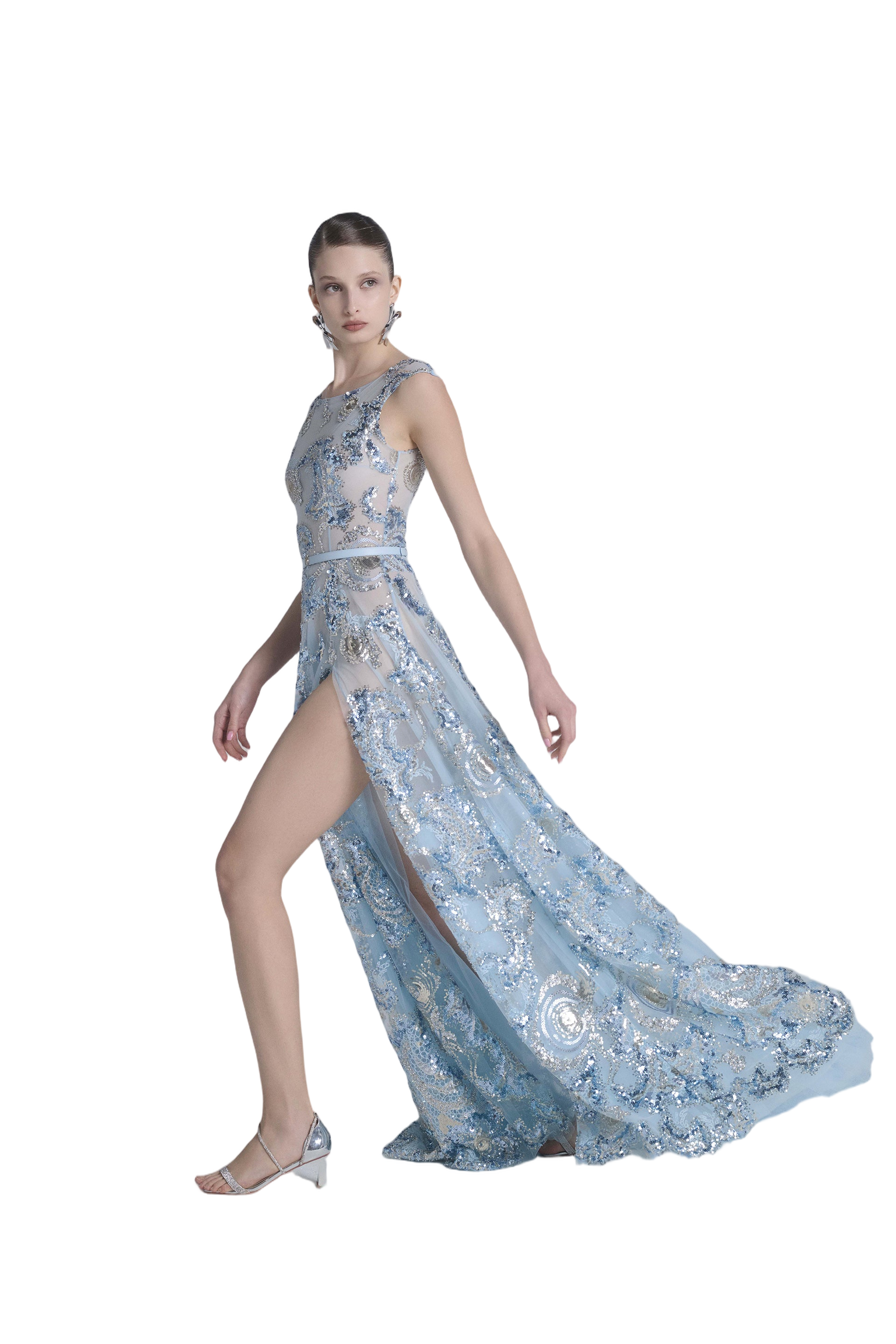 Embroidered Tulle Long Dress