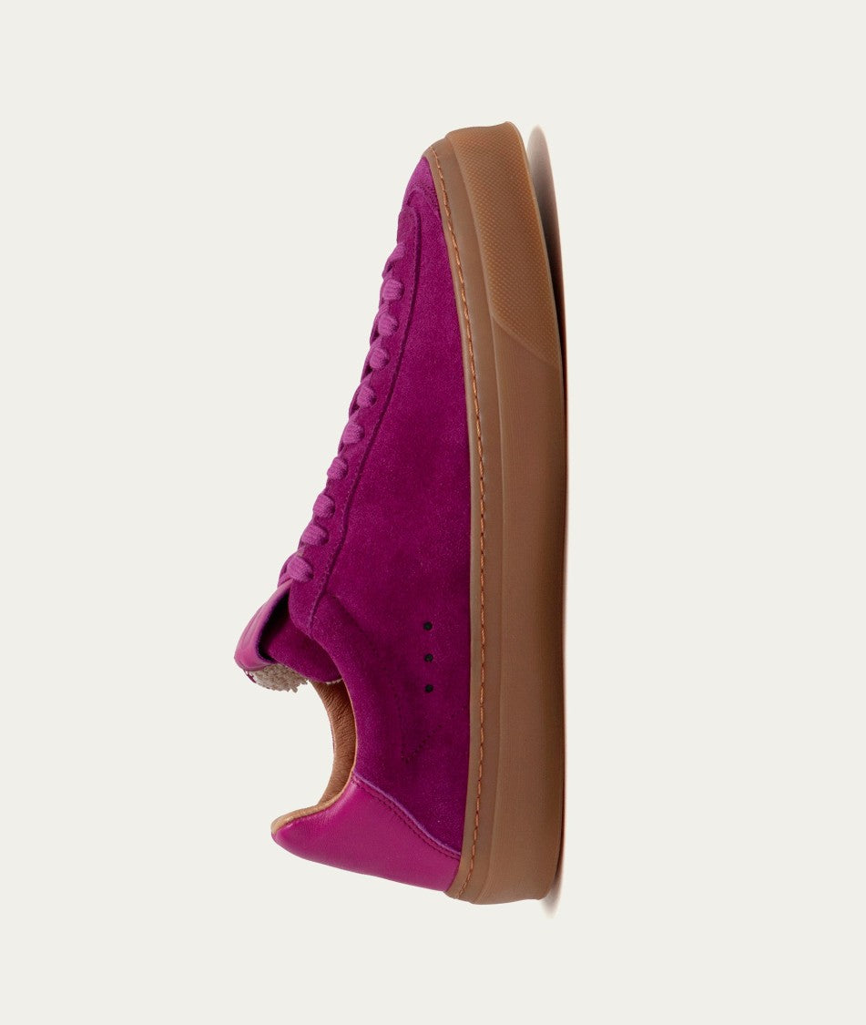 Regata Pink