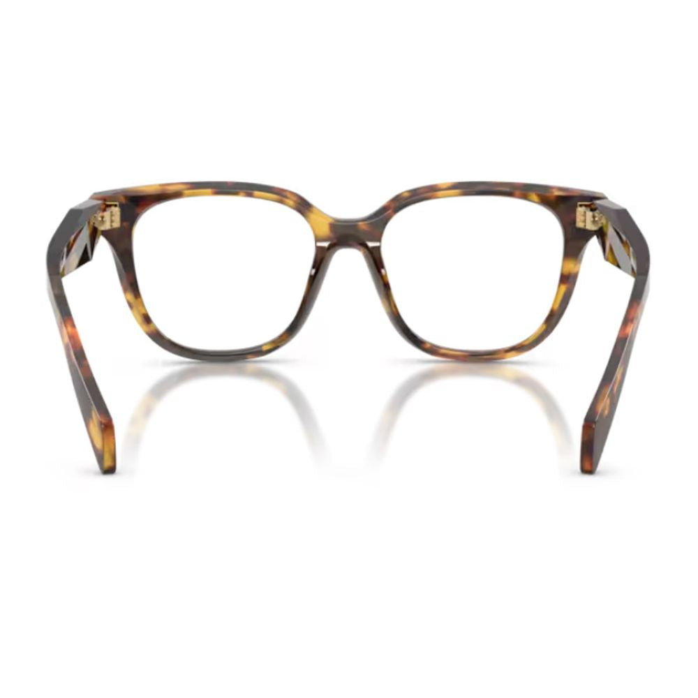 Pr C11V Butterfly-Frame Acetate Optical Glasses