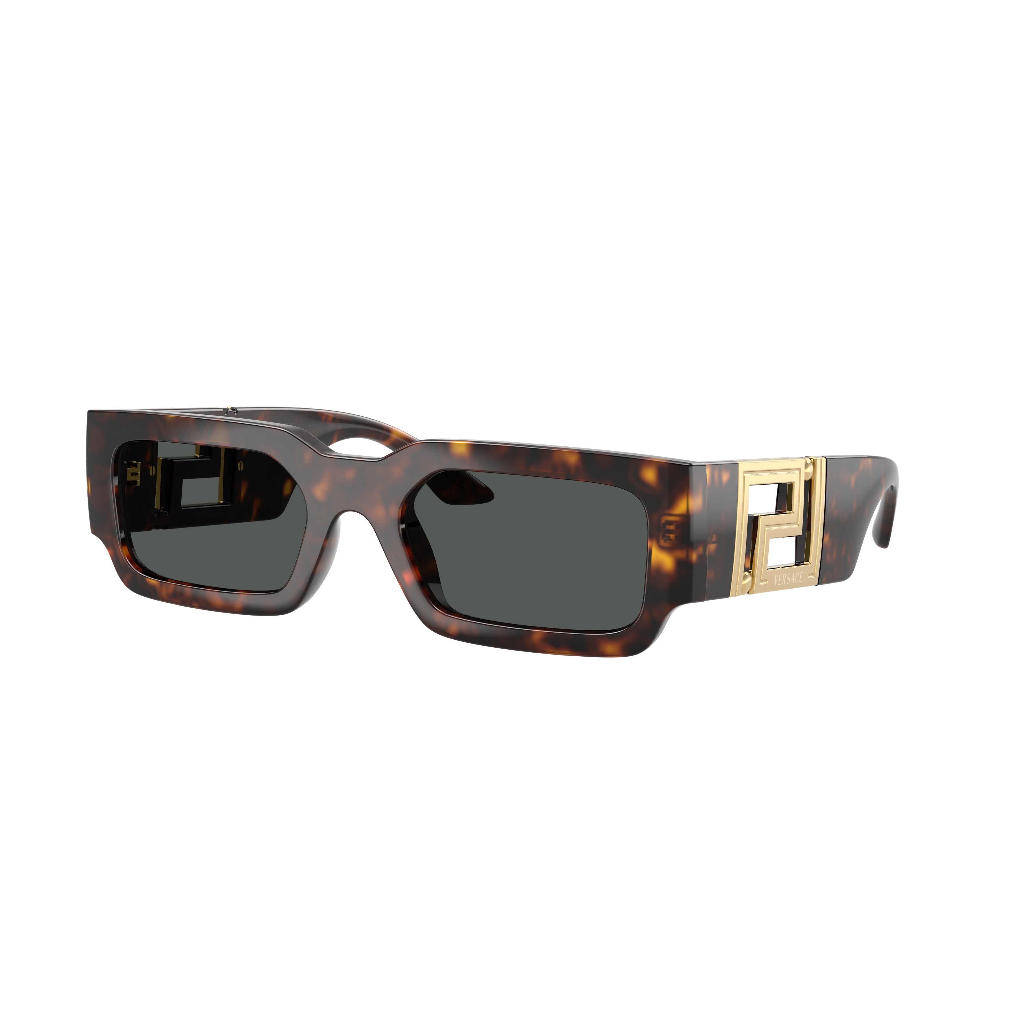 0ve4506u Tortoiseshell Sunglasses