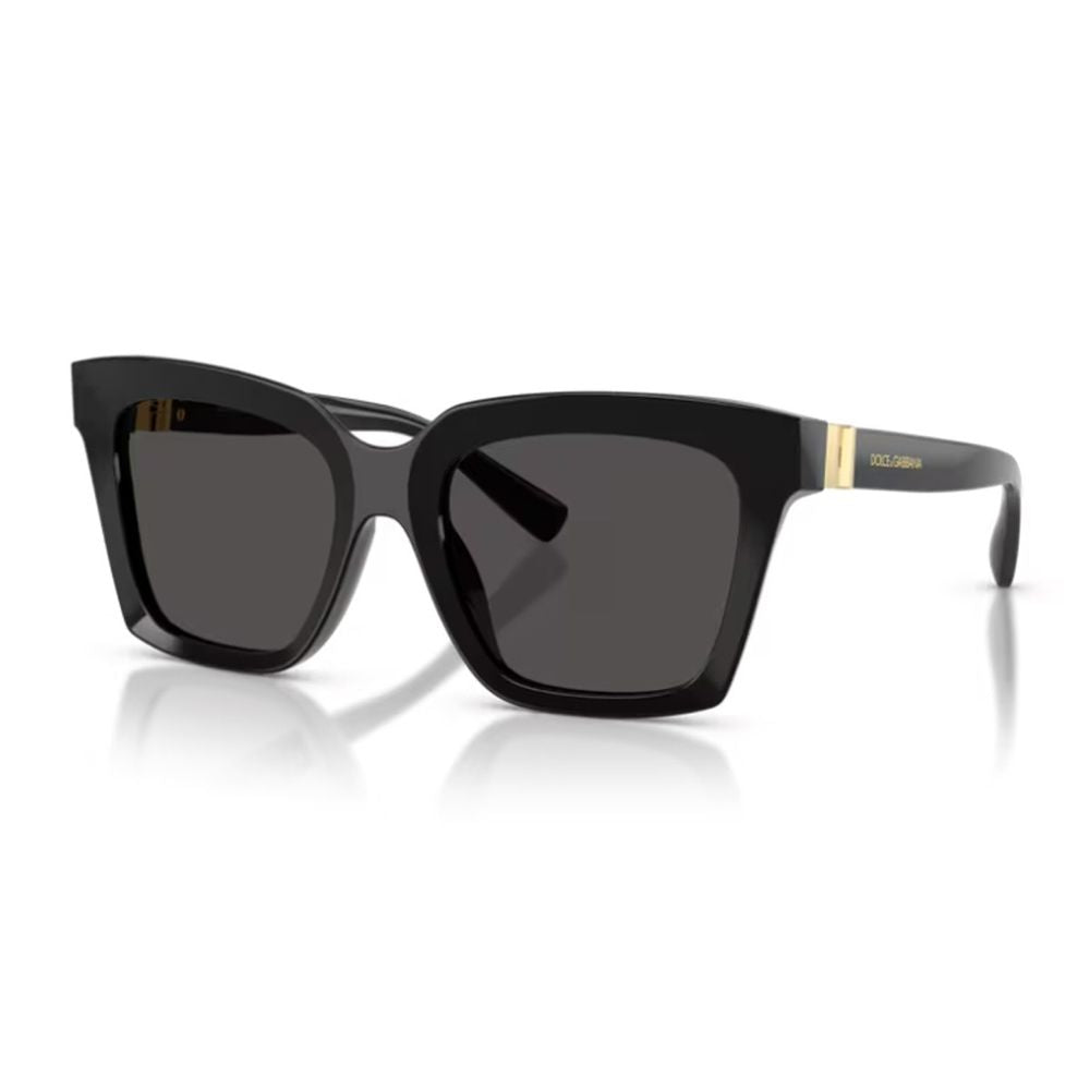 Dg4498 Dg Hinge Square Acetate Sunglasses