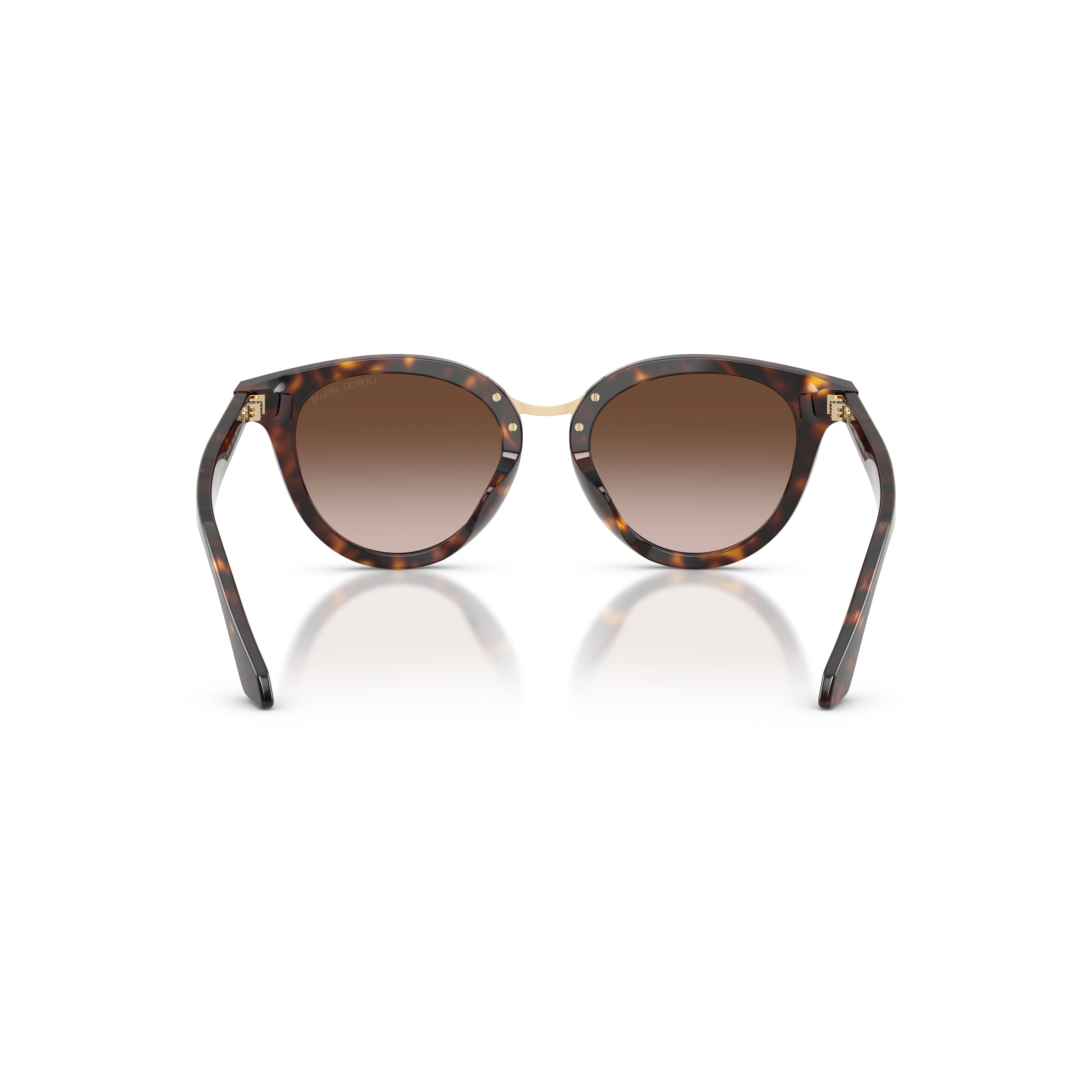 0ar8252u Rounded Cat-Eye Sunglasses with Tortoiseshell Acetate Frame