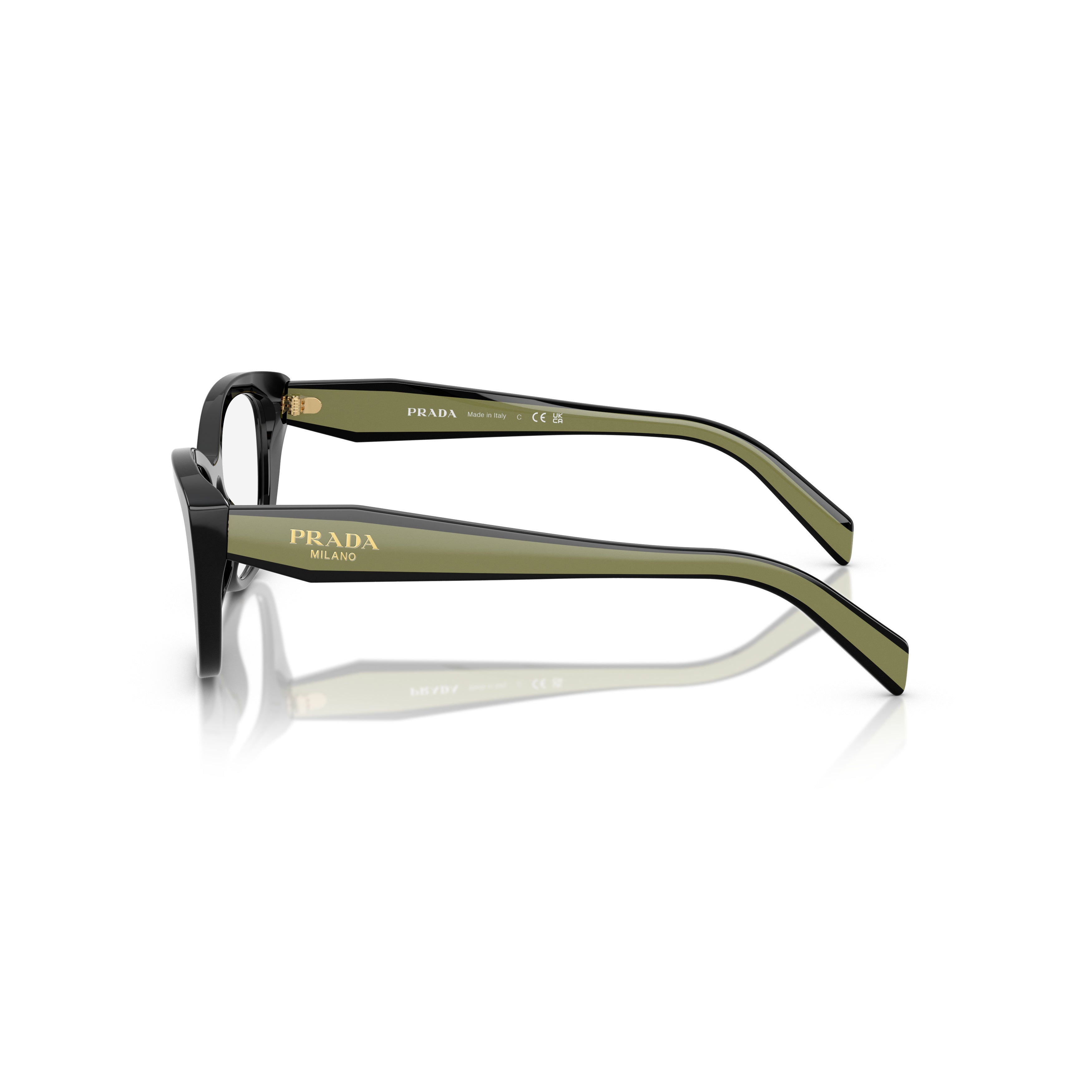 0pr 19wv Bold Cat-Eye Acetate Sunglasses