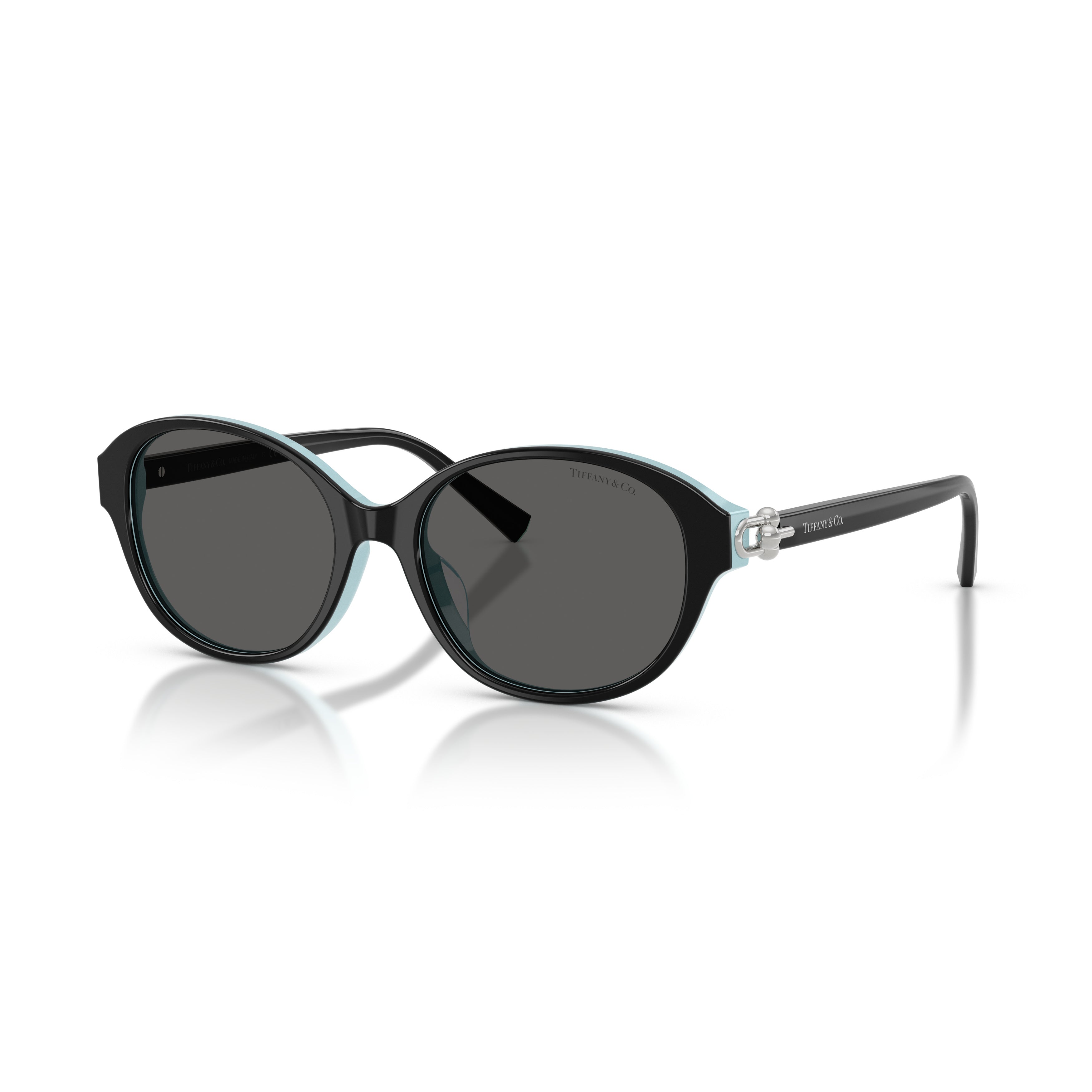 0tf4263d Oval-Shaped Black Frame Sunglasses