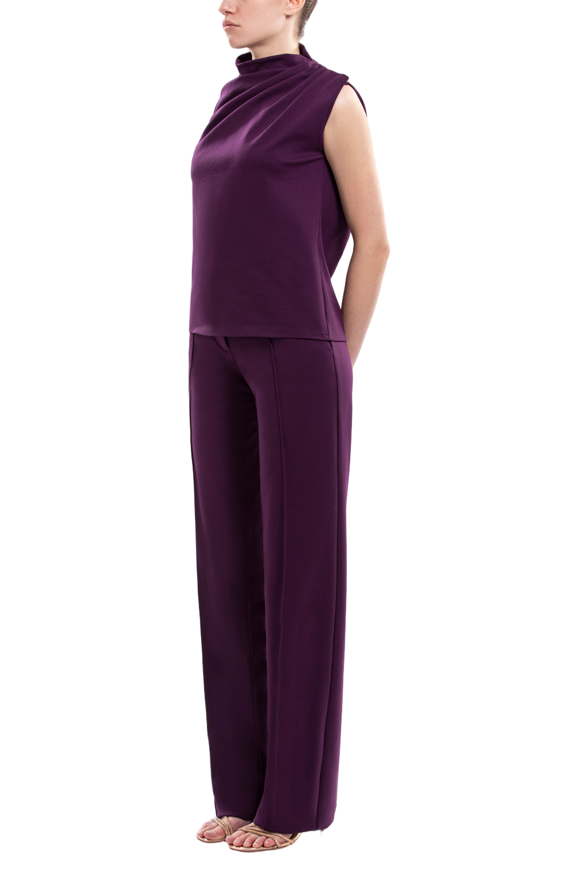 Pleated Shoulder Top And Pants Ensemble