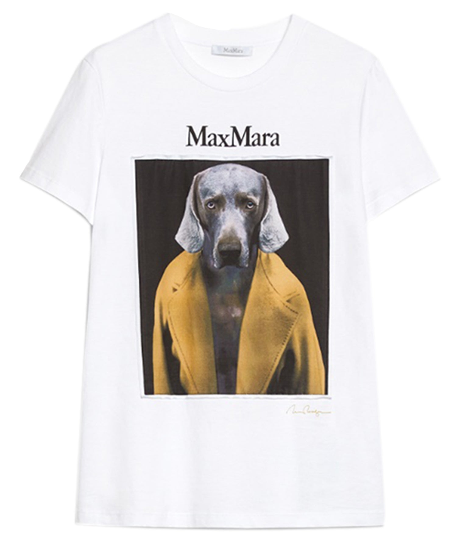 Graphic Print Short-Sleeved T-Shirt with Classic Crew Neckline