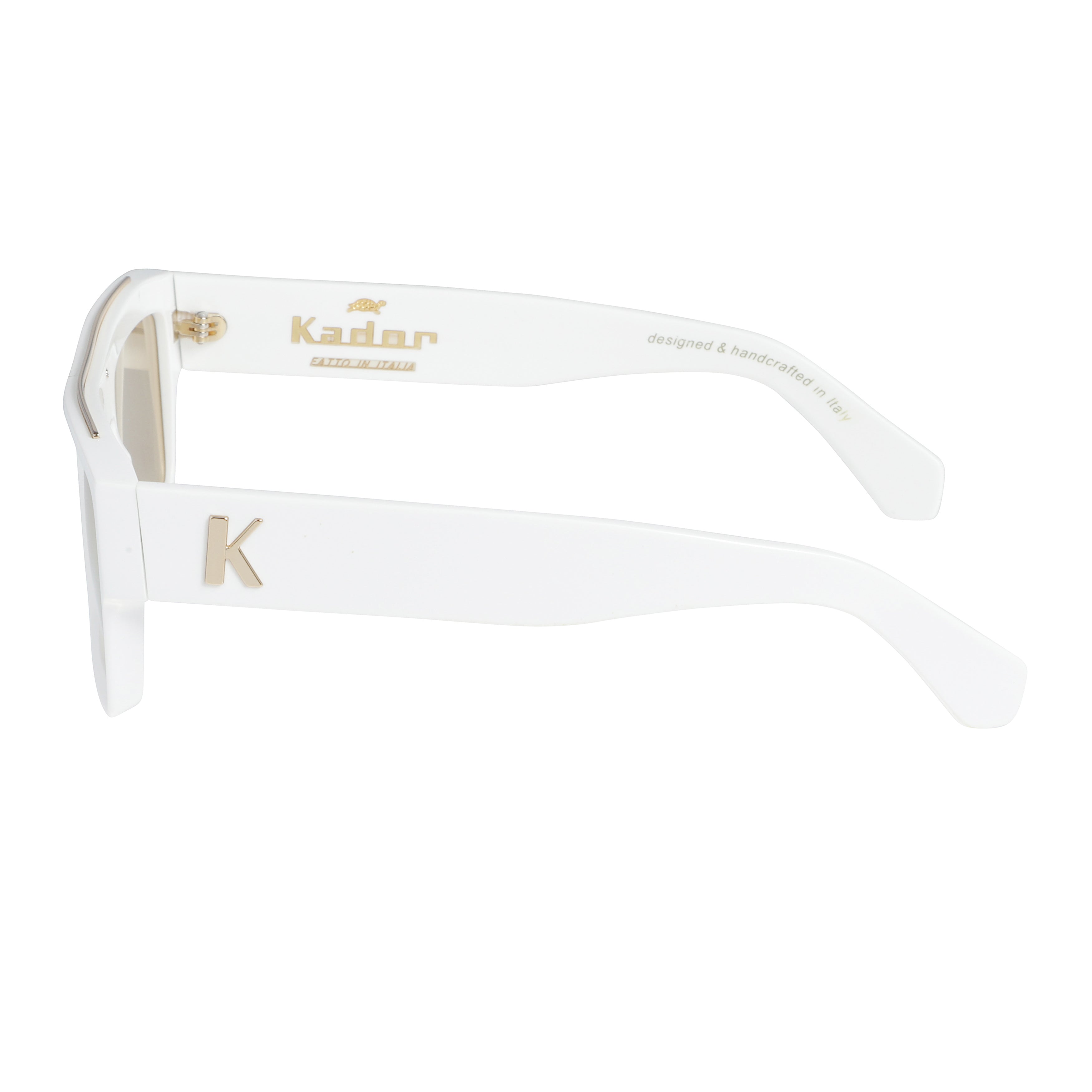 Bandit 2 Special Bold Rectangular Sunglasses with Glossy Finish