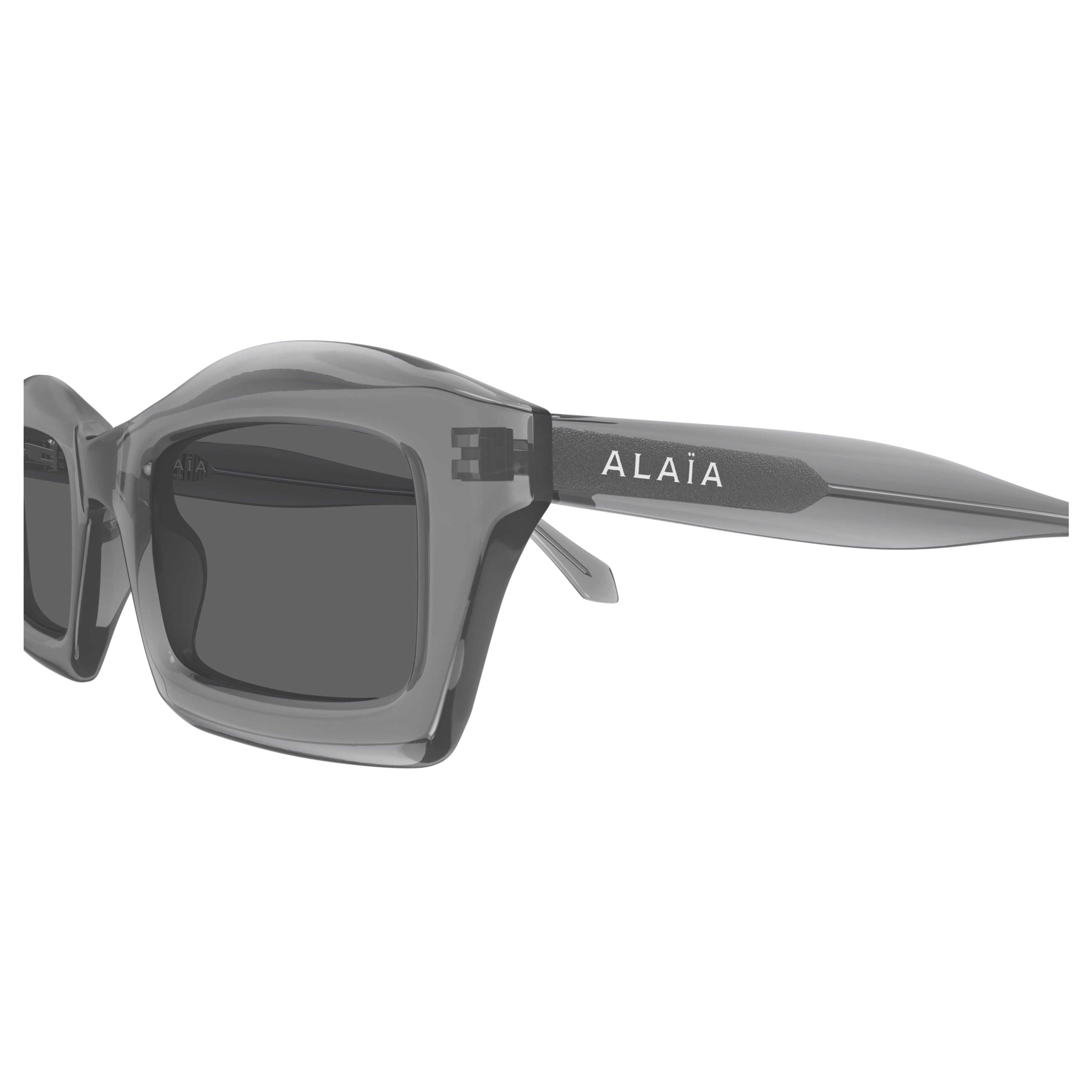 Aa0089s Rectangular Frame Sunglasses in Translucent Smoky Grey