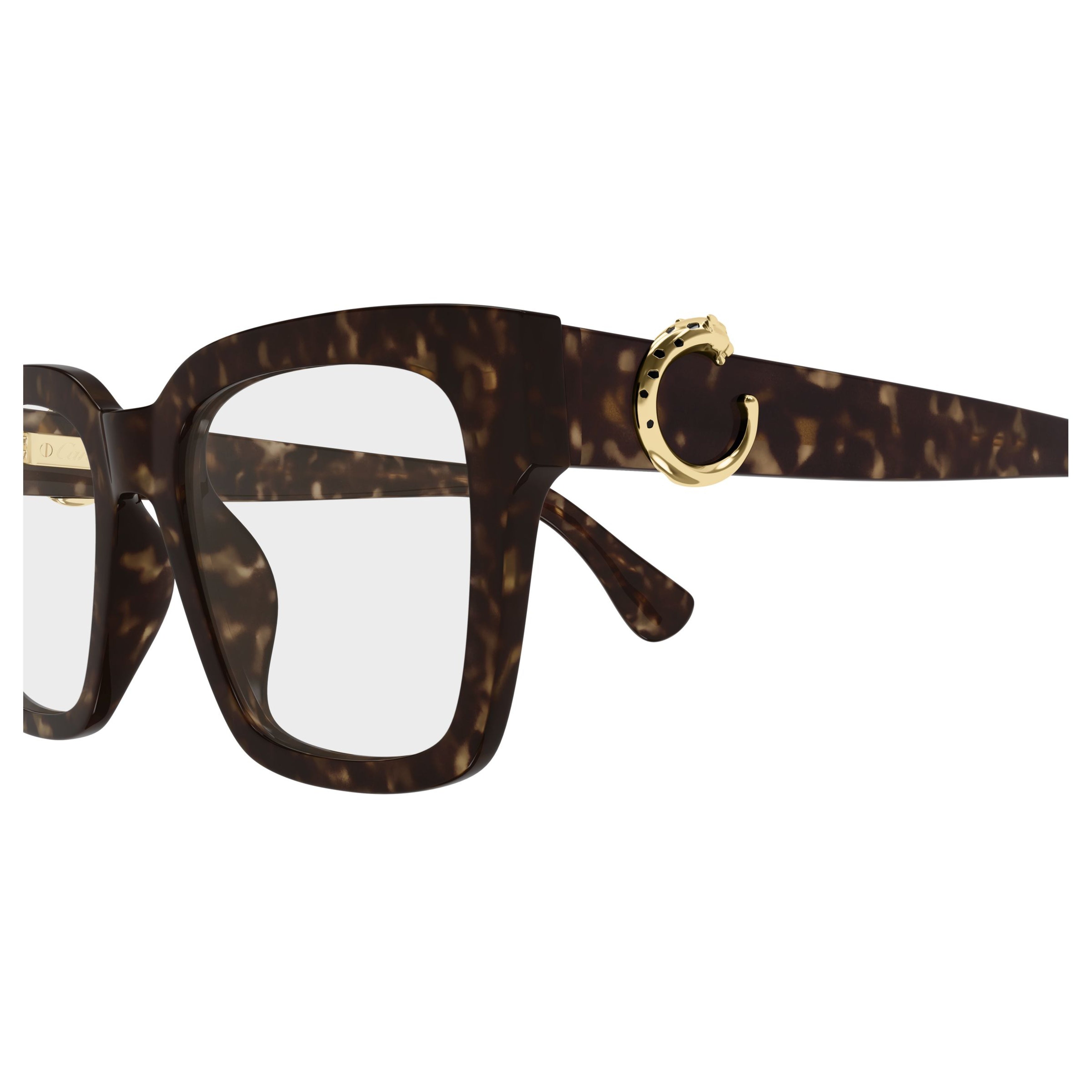 Ct0640o Square Frame Sunglasses