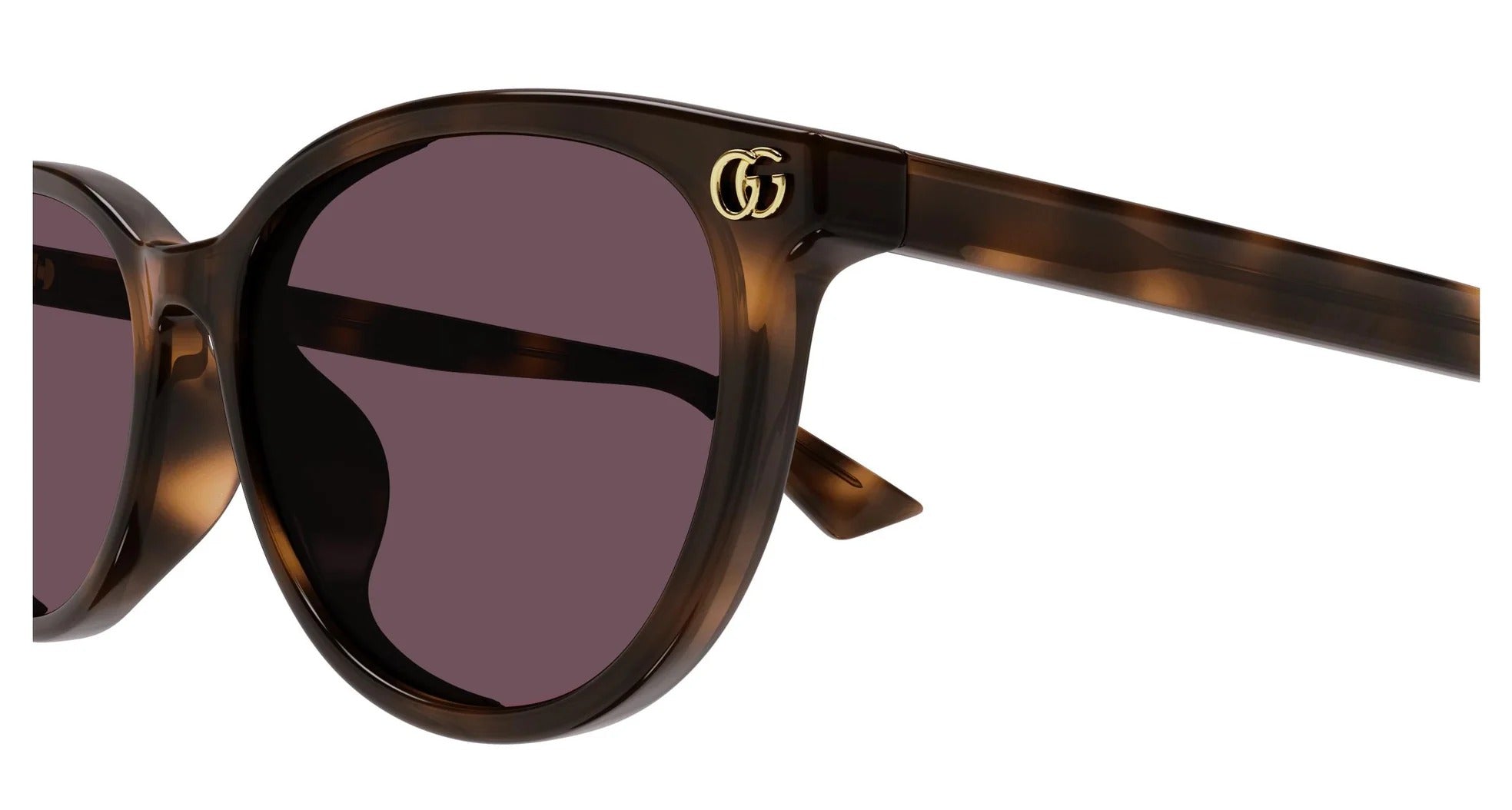 Sunglasses Gucci GG1818SK 002 Havana Havana Violet 56/17/145