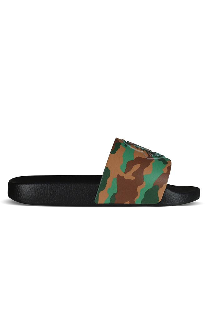Basile Slides