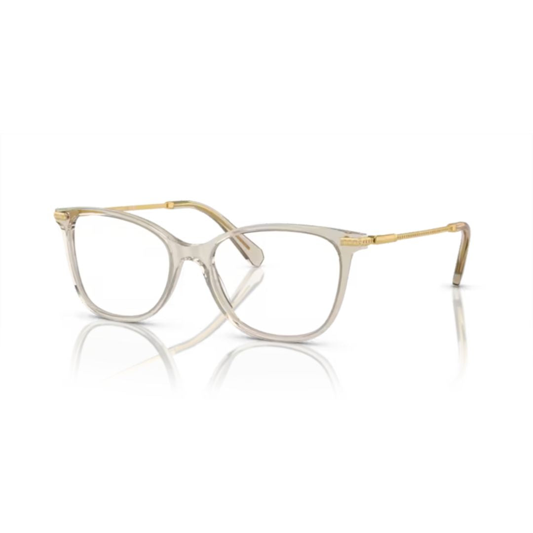 0sk2010 Translucent Acetate Eyeglasses