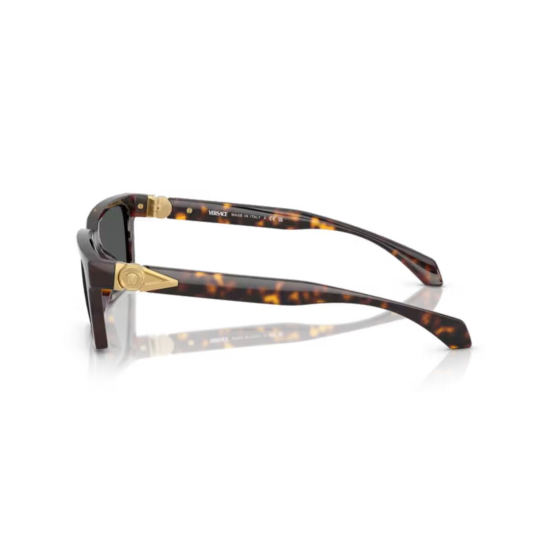 0ve4490u Tortoiseshell Frame Sunglasses