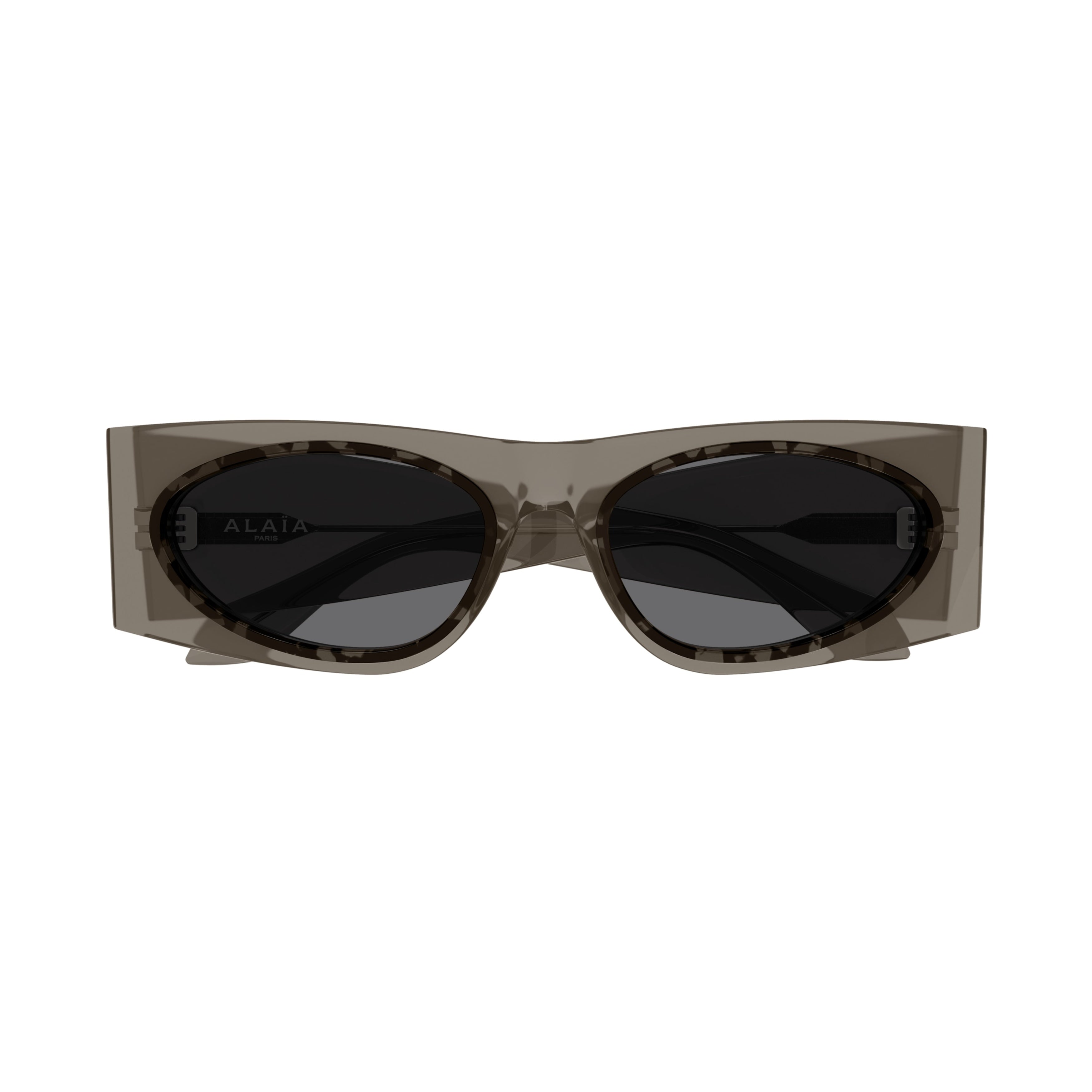Aa0085s Oversized Rectangular Sunglasses with Tortoiseshell Pattern