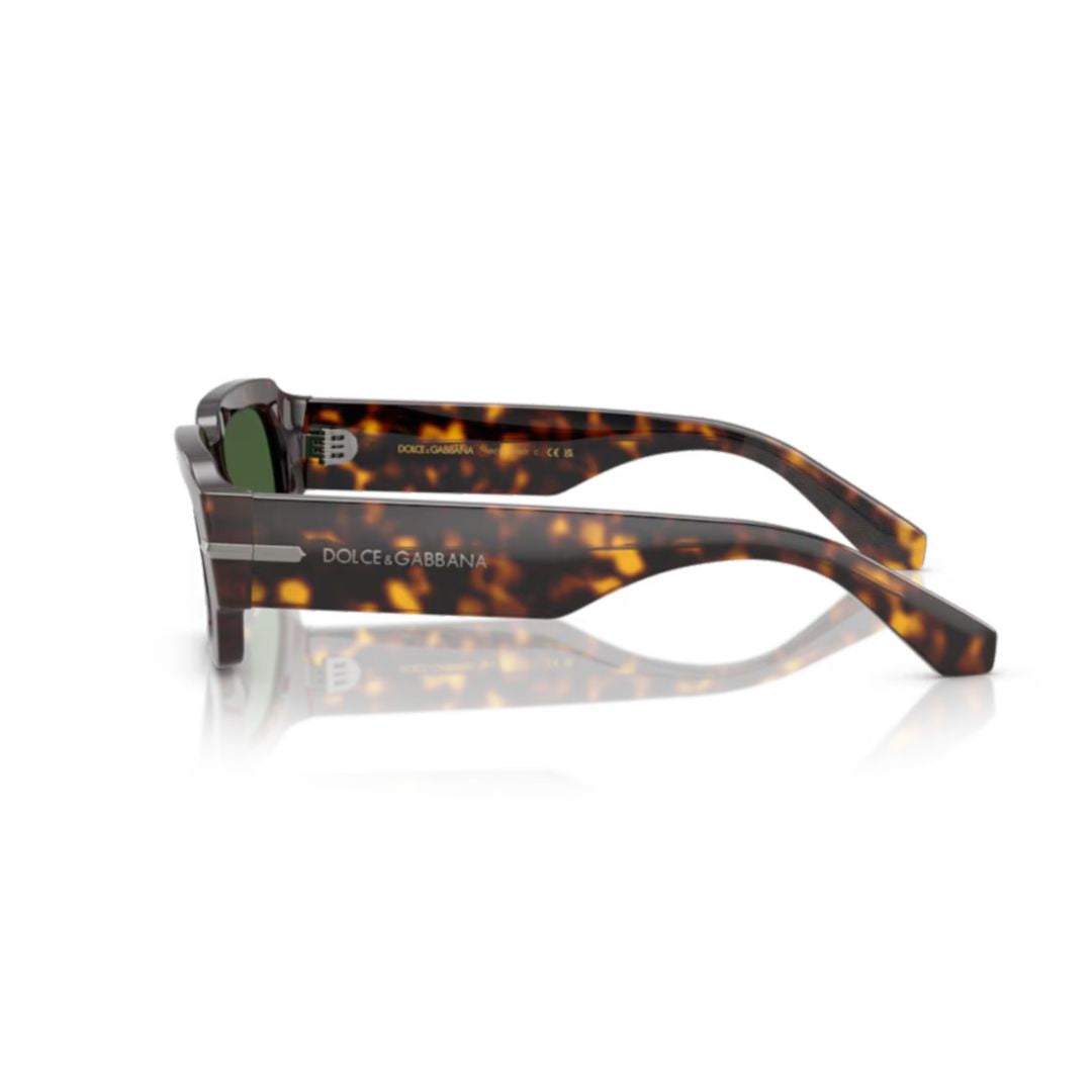 0dg4485 Rectangular Tortoiseshell Acetate Sunglasses
