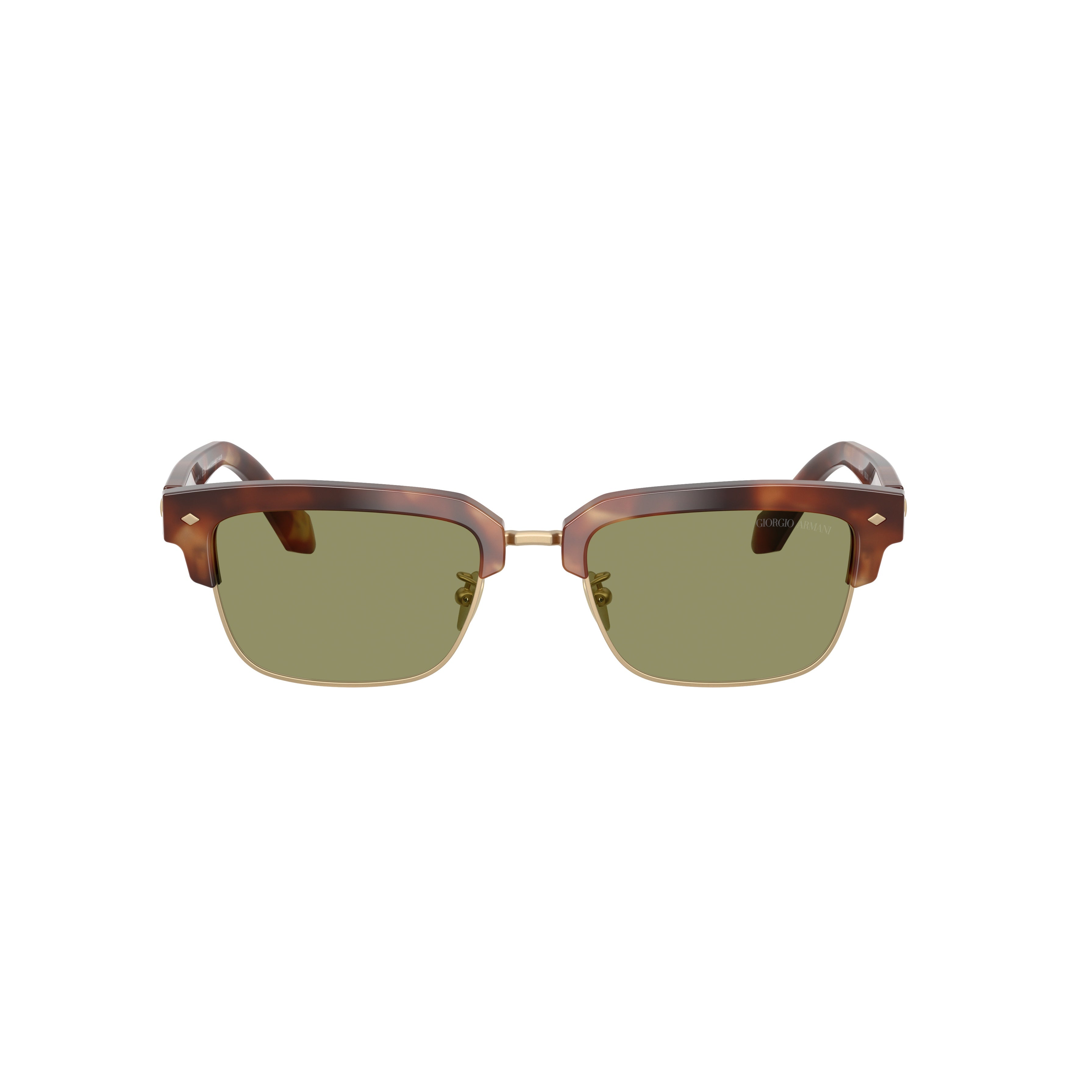 0ar8243 Tortoiseshell Acetate Sunglasses with Gold-Tone Frame