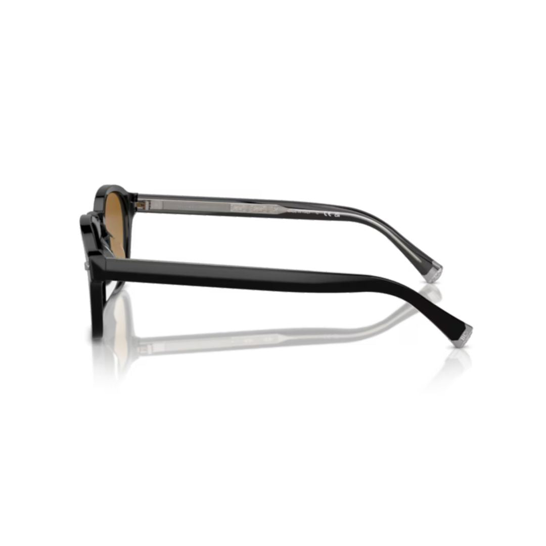 0bc4006s Classic Rounded Acetate Sunglasses with Gradient Lenses