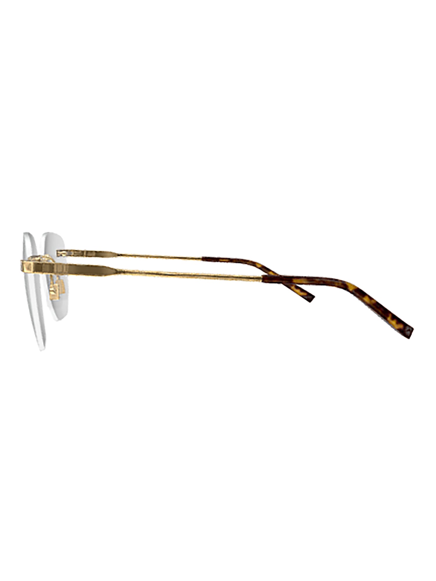 Sophisticated Metallic Optical Frames with Tortoiseshell Accents