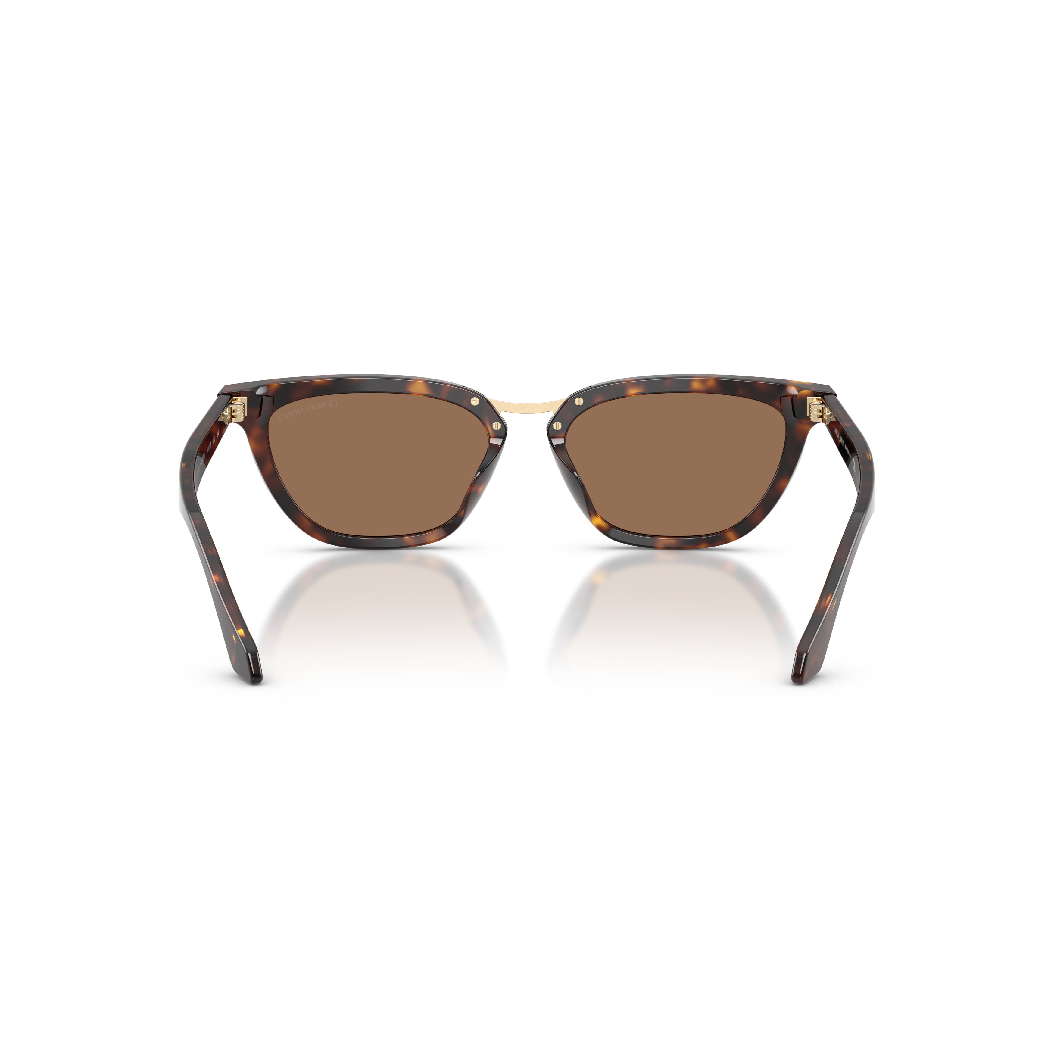 0ar8253u Tortoiseshell Cat-Eye Sunglasses with Gold Bridge