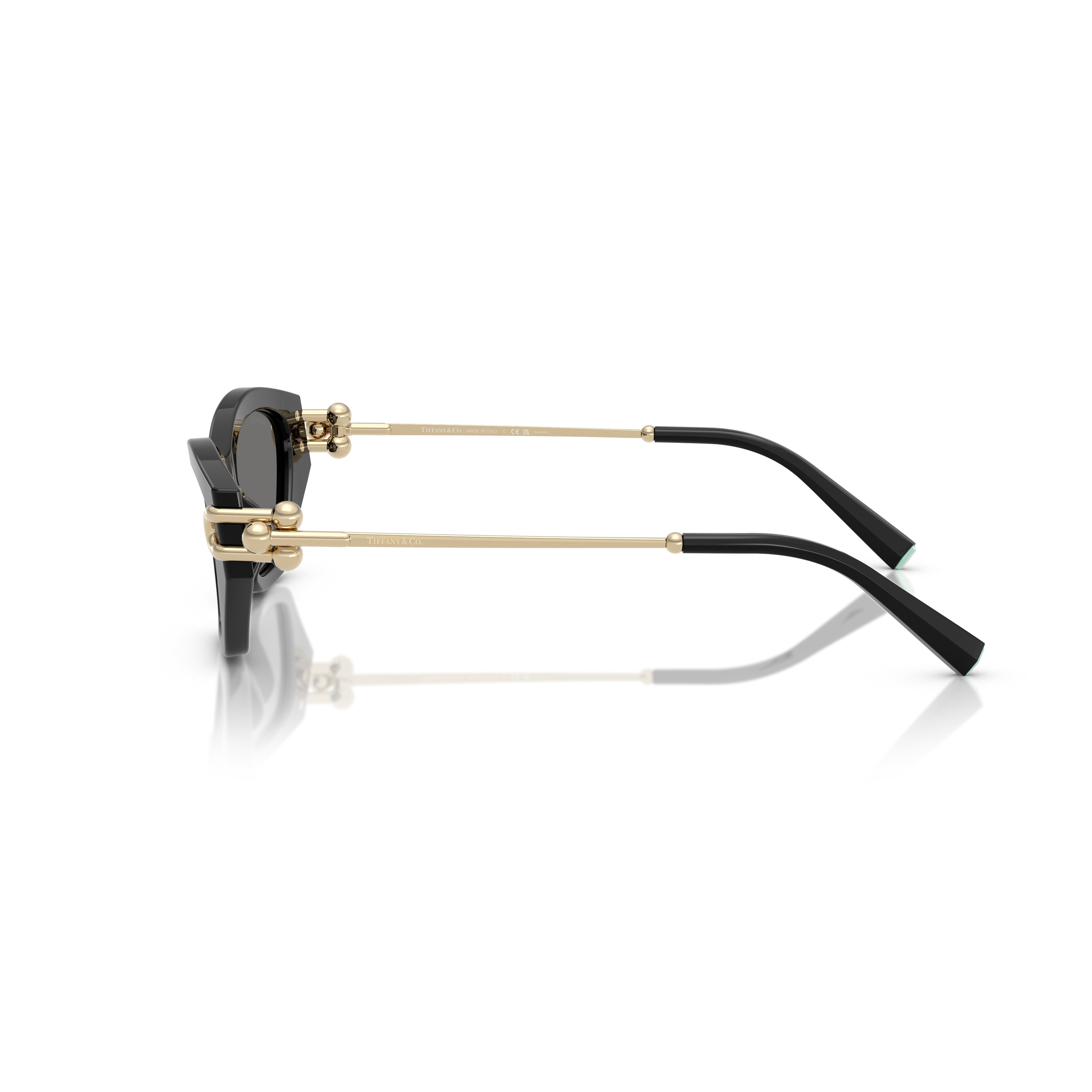 0tf4231u Cat-Eye Sunglasses