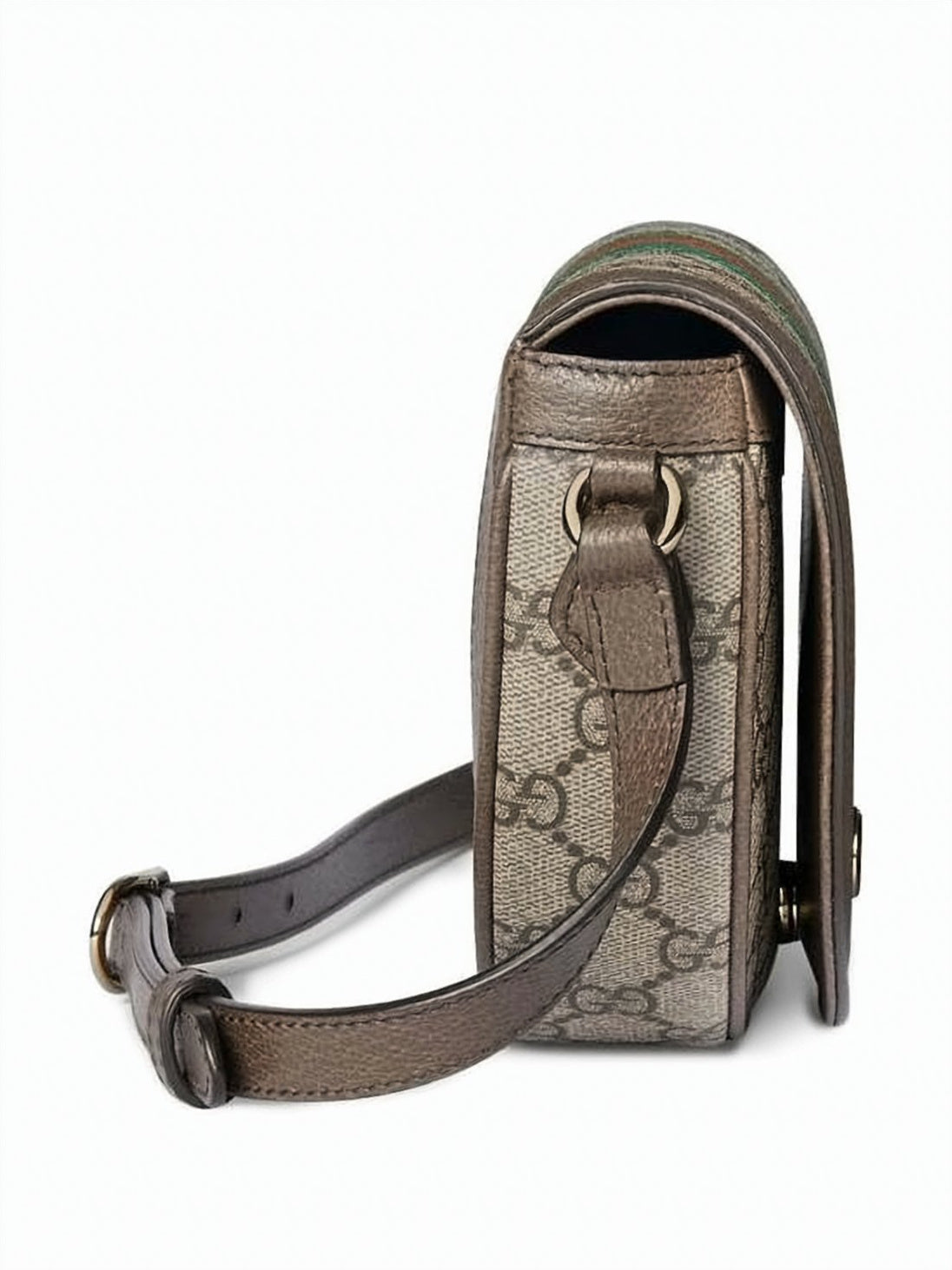 Semi-Circular Monogram Canvas Crossbody Bag