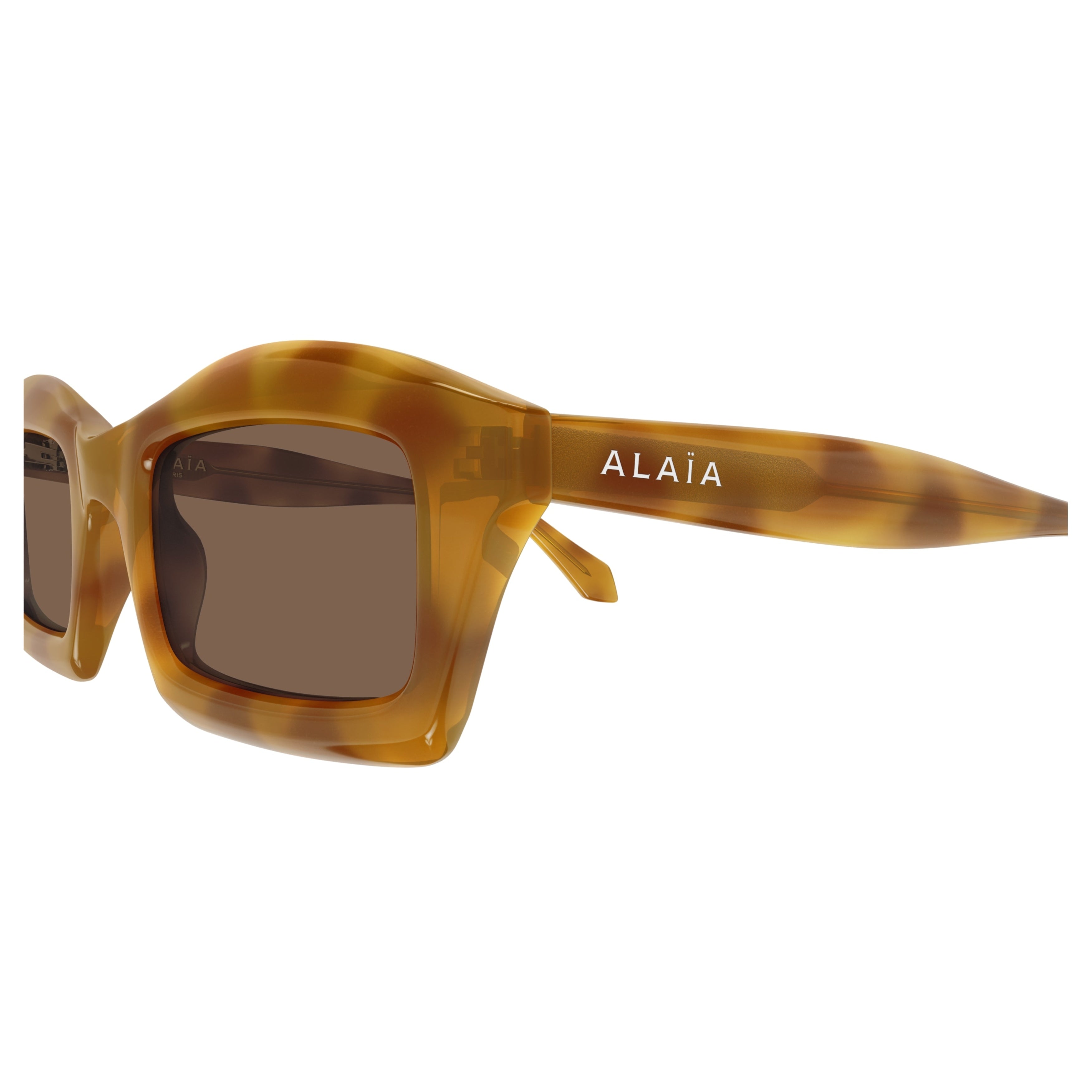 Aa0089s Oversized Square Tortoiseshell Sunglasses with Glossy Finish