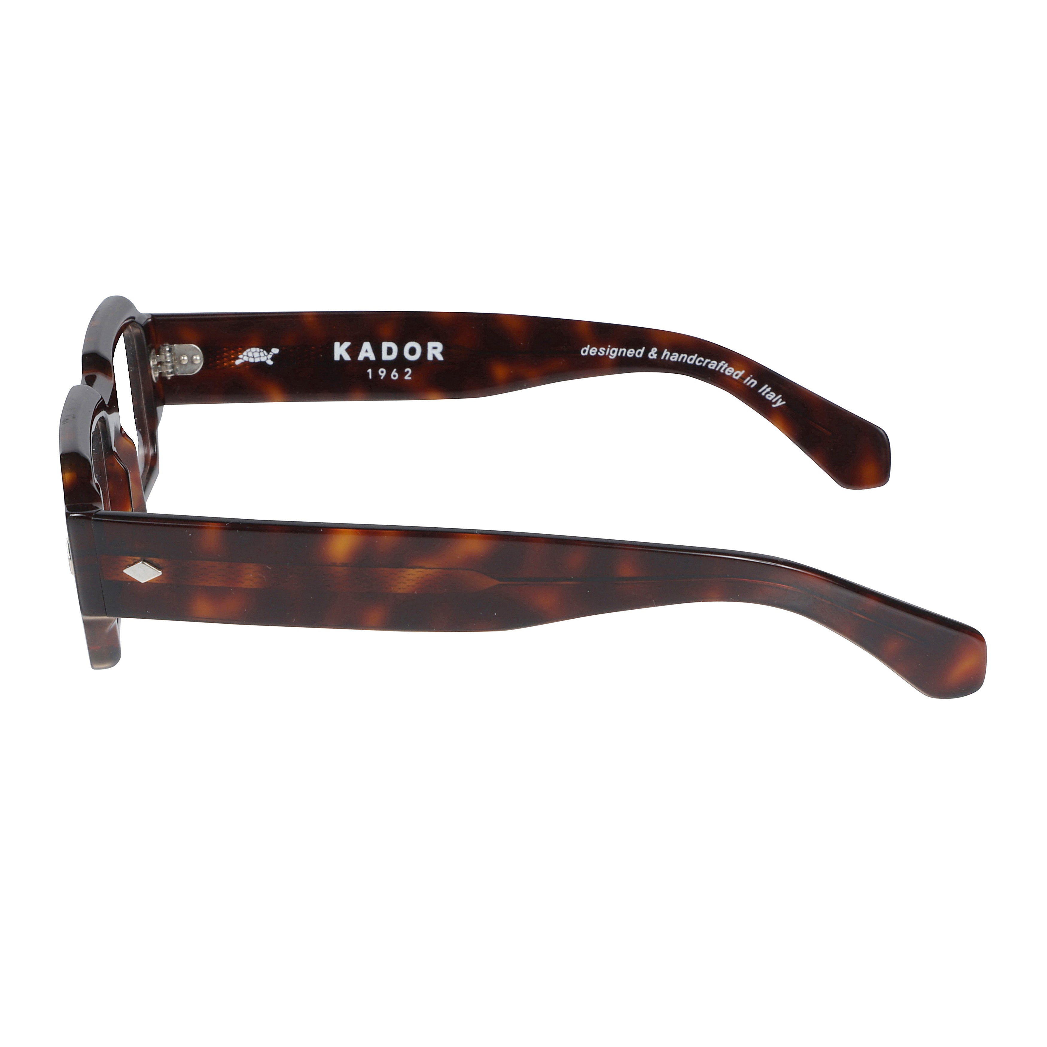 Rock Star Bold Rectangular Tortoiseshell Eyeglasses with Silver Accents