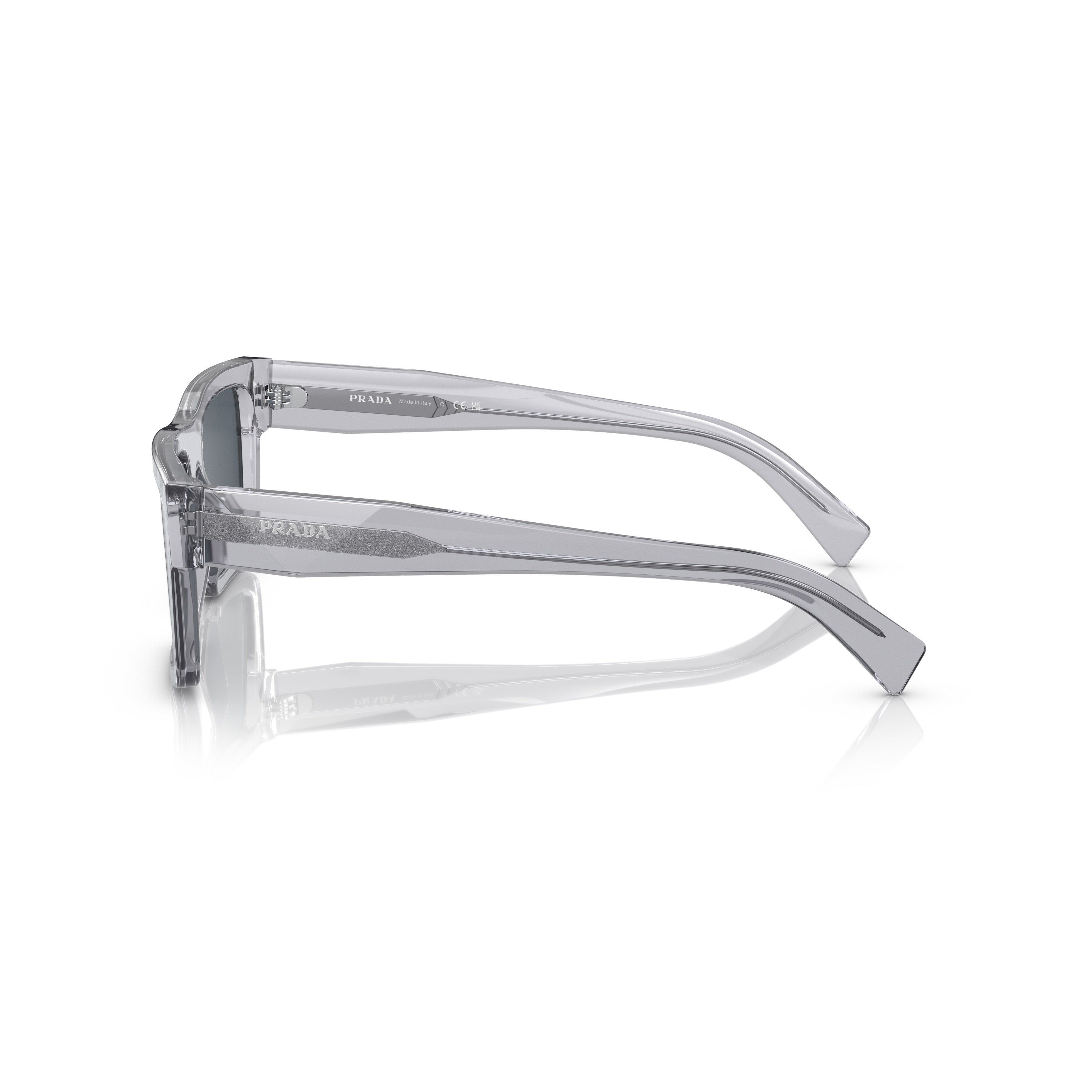 0pr 19ws Translucent Acetate Sunglasses