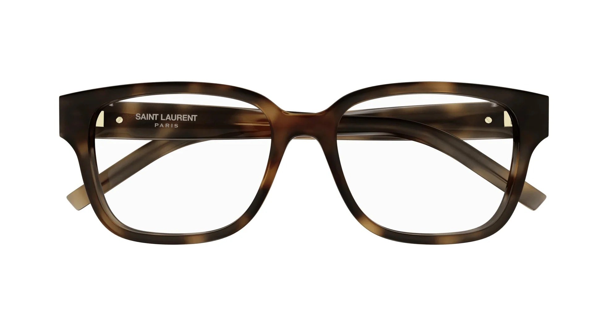 Eyeglasses Saint Laurent SL M150/F 003 Havana Havana Transpa 55/17/145