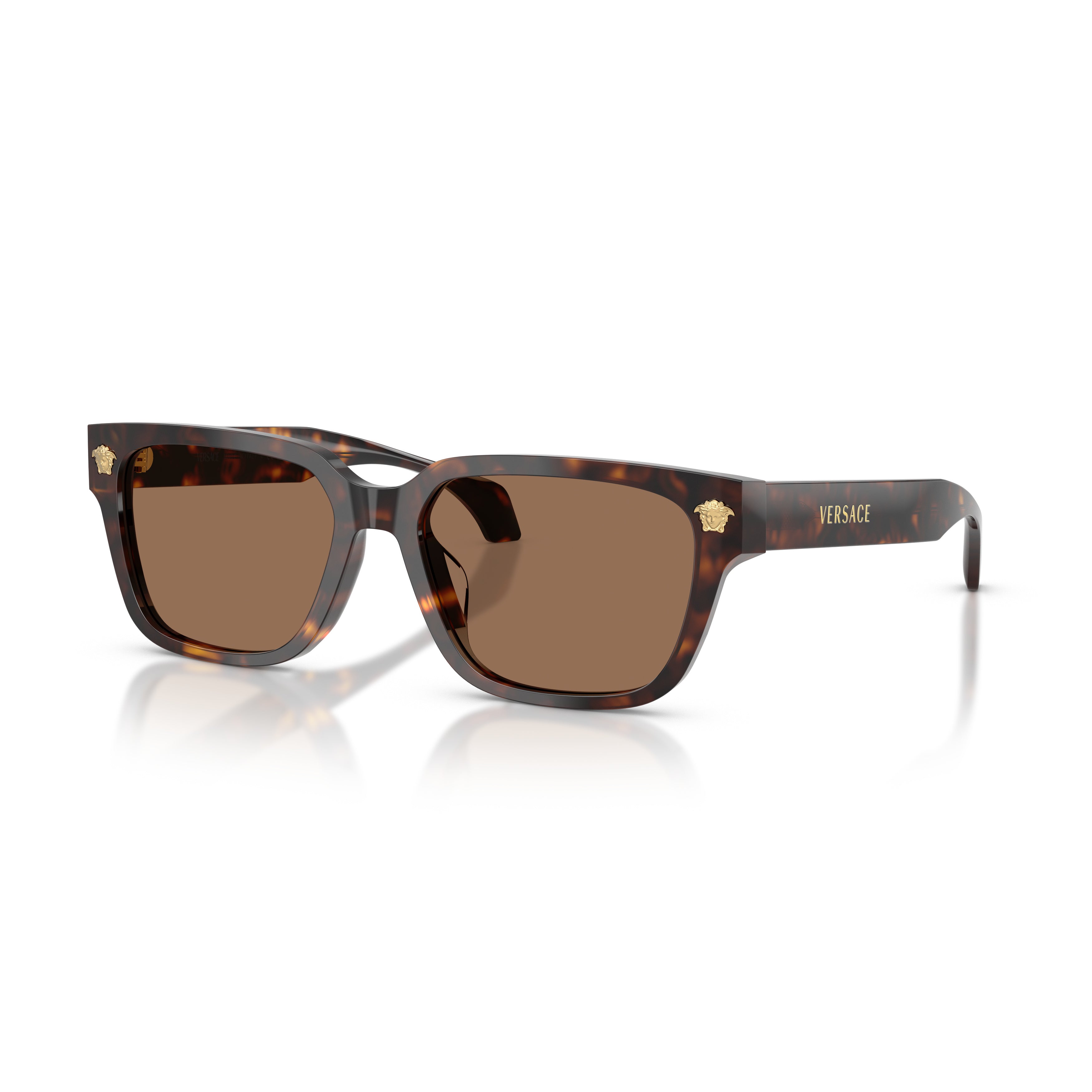 0ve4513d Rectangular Tortoiseshell Acetate Sunglasses