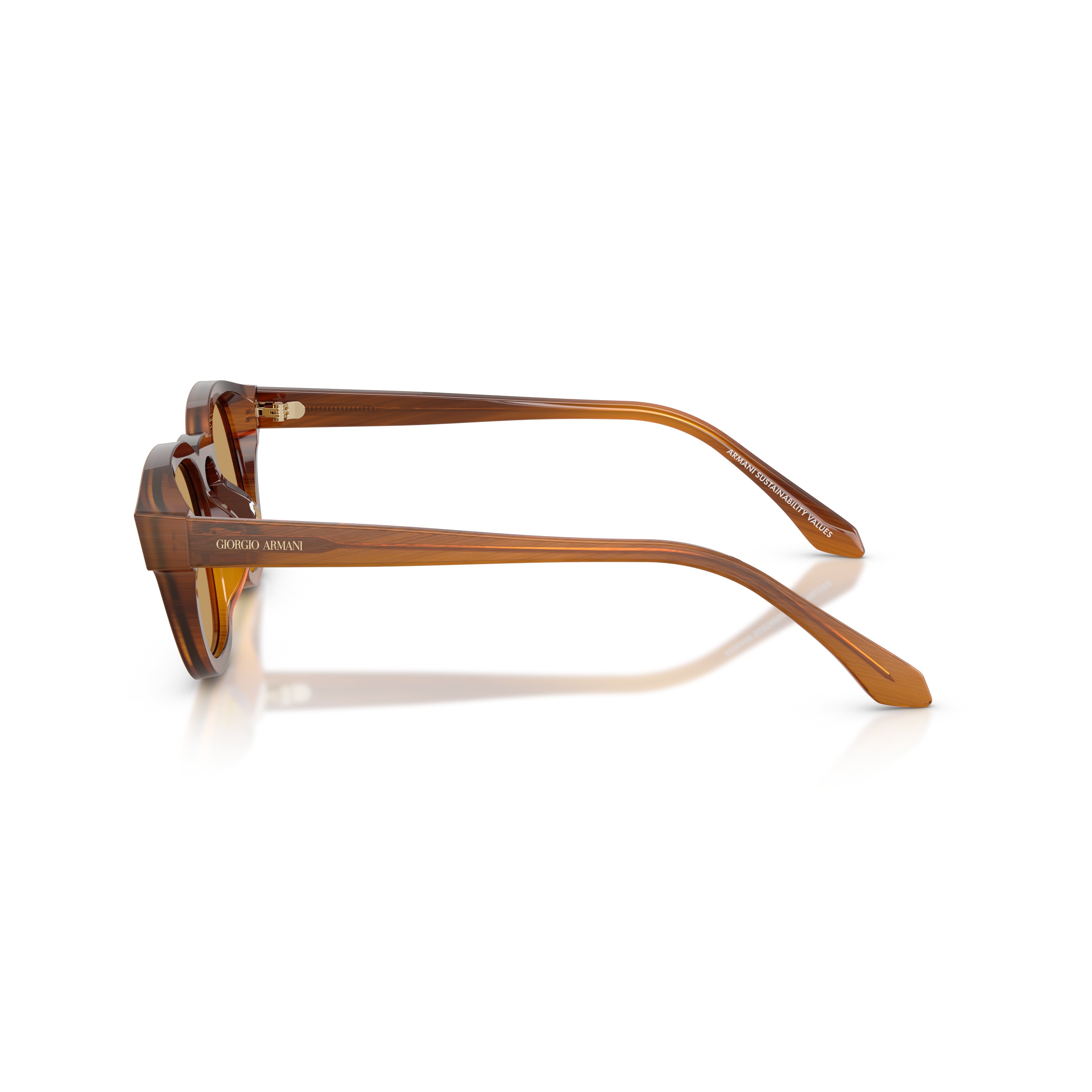 0ar8254u Translucent Brown Acetate Sunglasses with Rounded Square Frame
