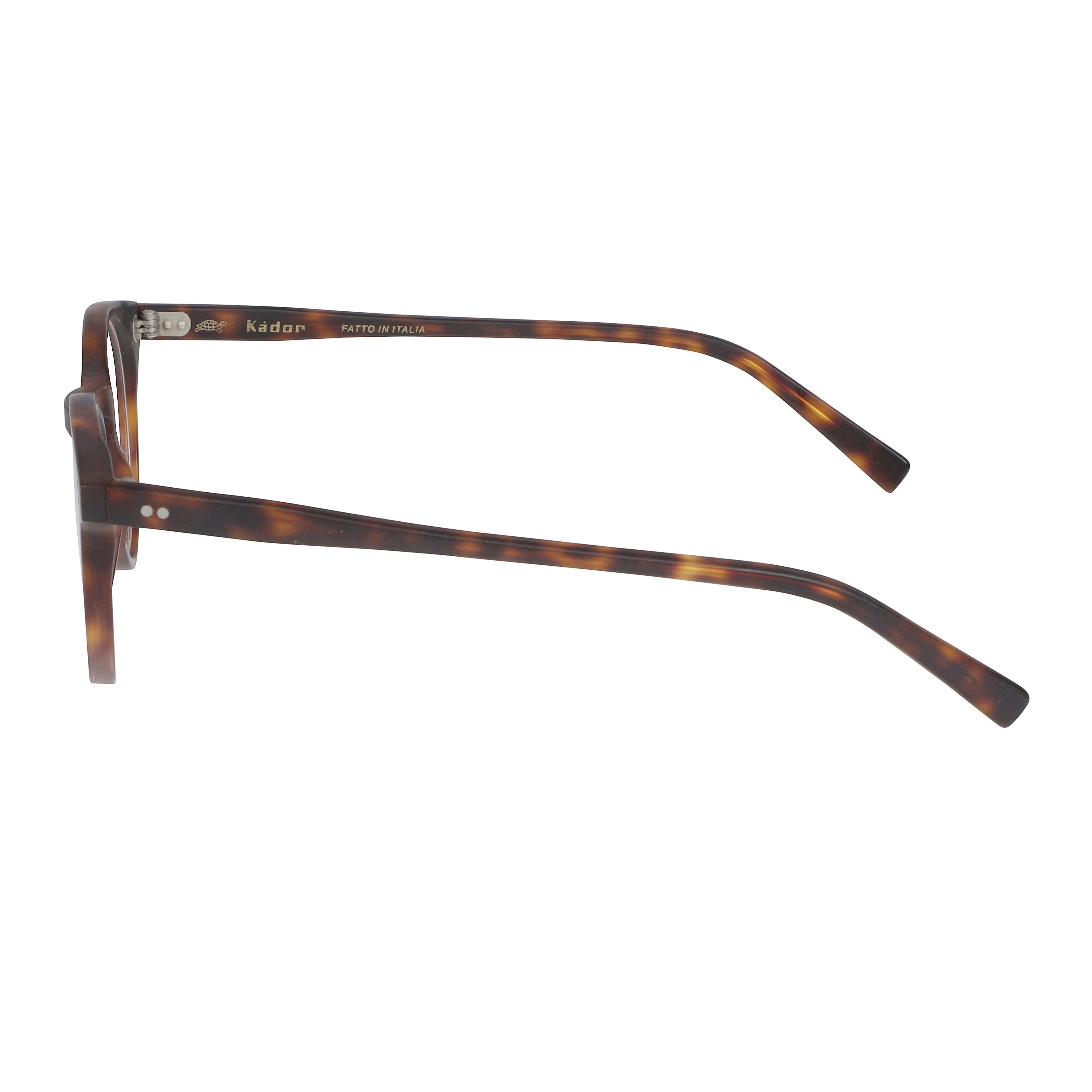 Chyli/N Round Tortoiseshell Frame Eyeglasses with Metallic Rivets