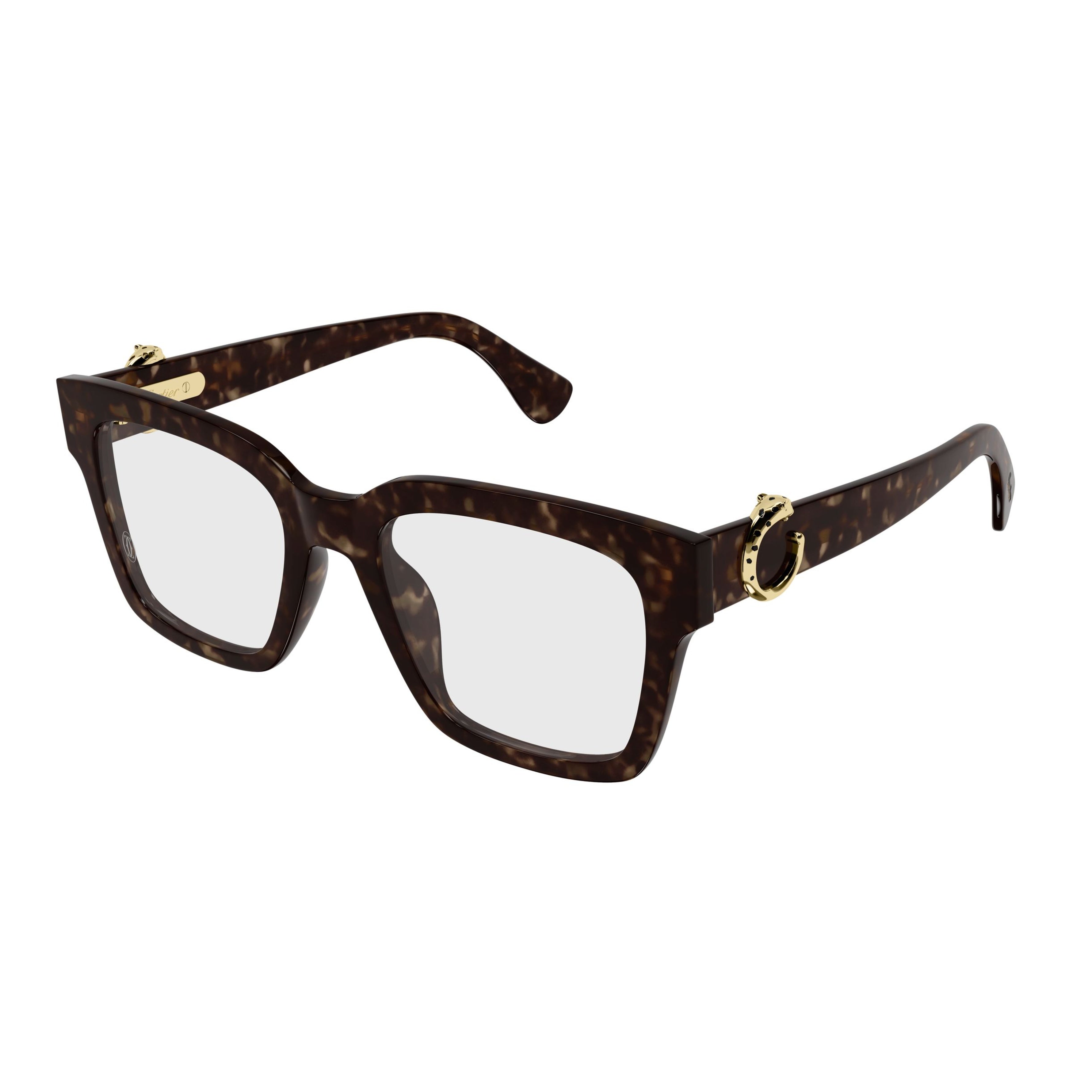 Ct0640o Square Frame Sunglasses