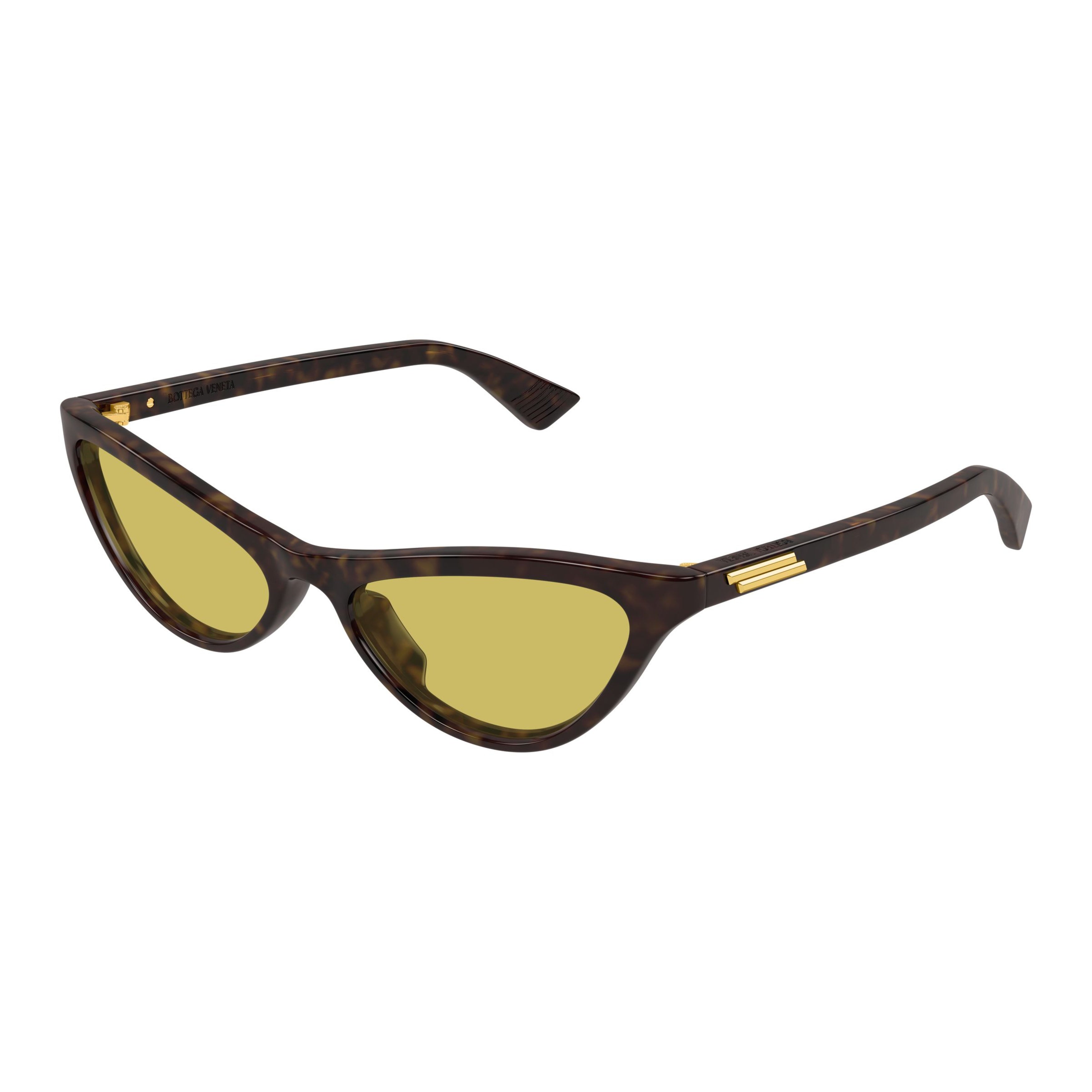 Bv1414s Cat-Eye Sunglasses
