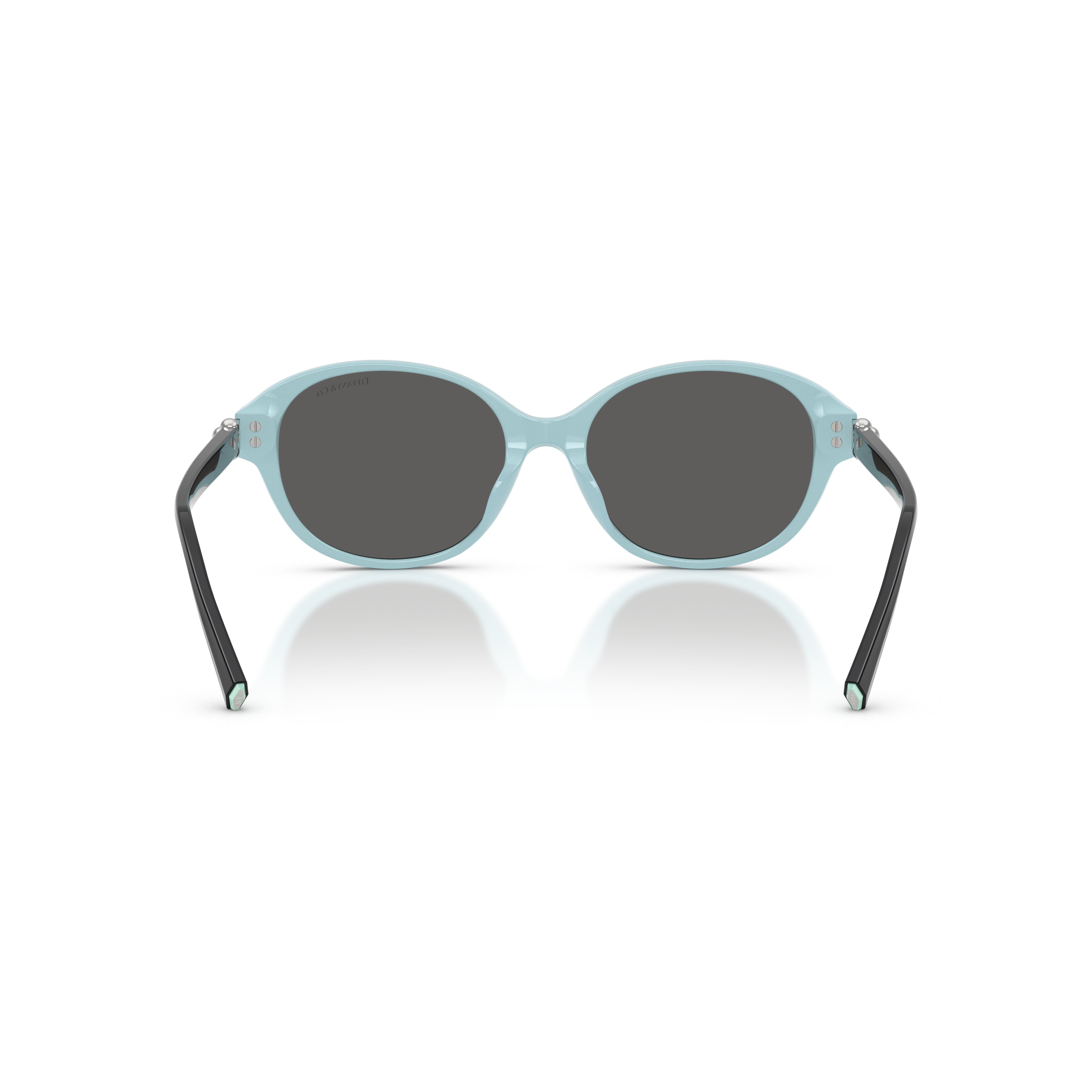0tf4263d Oval-Shaped Black Frame Sunglasses