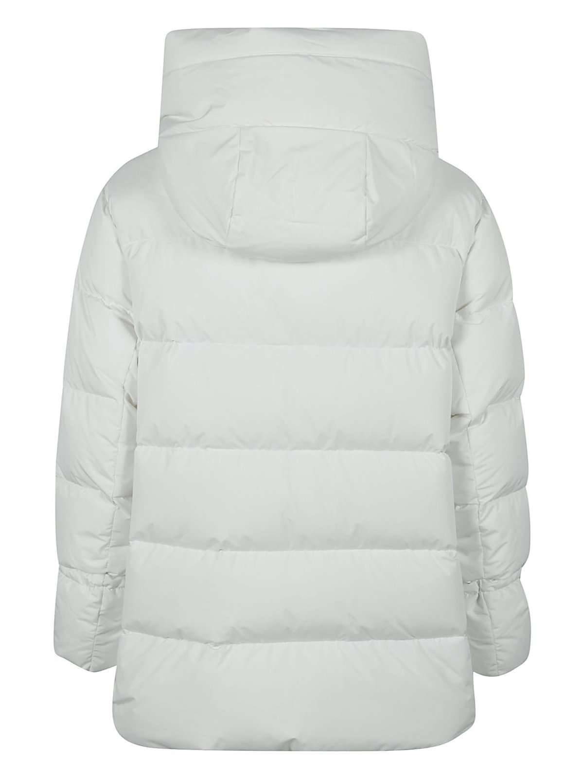 Padded Jacket with Structured Collar