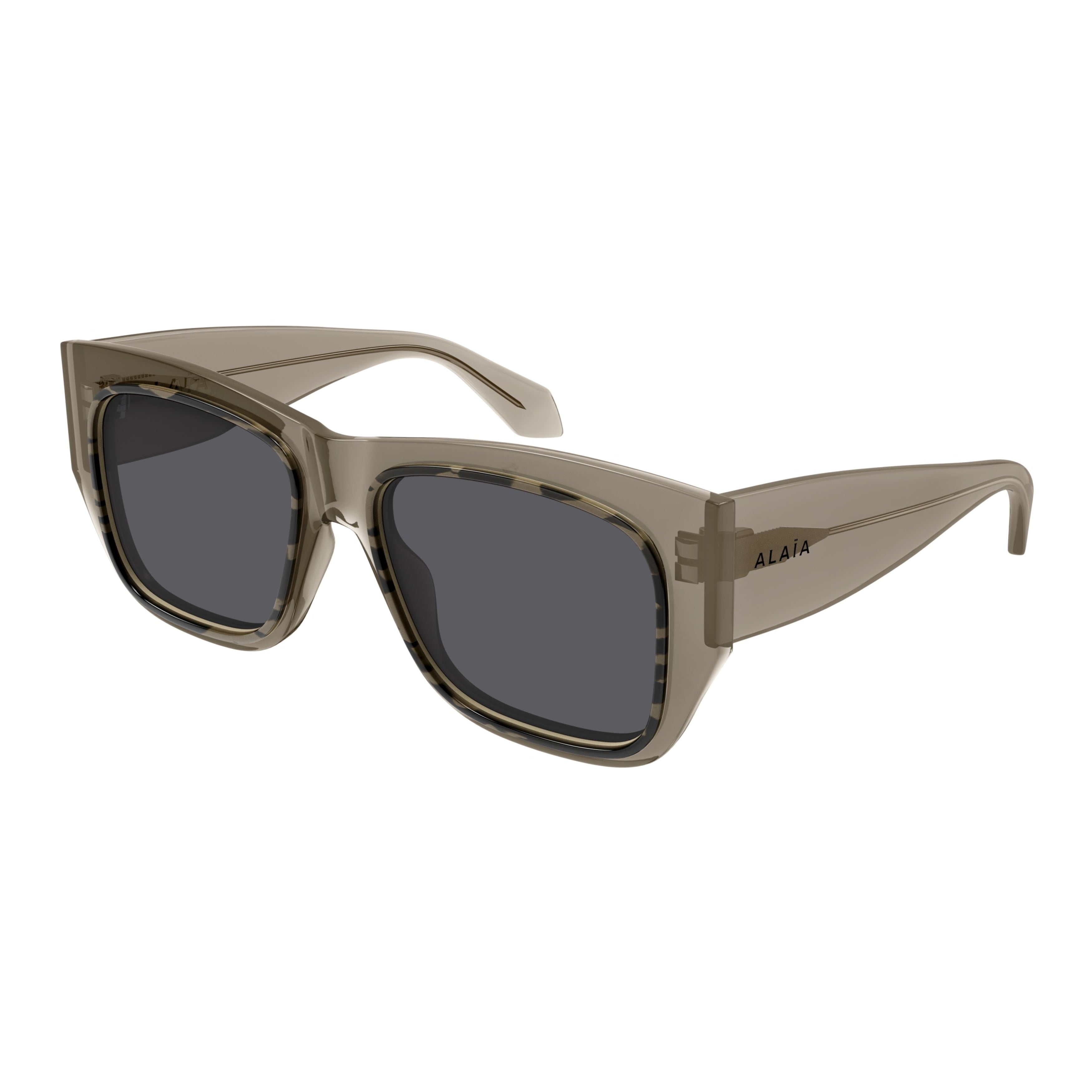 Aa0090s Oversized Square Sunglasses in Translucent Taupe