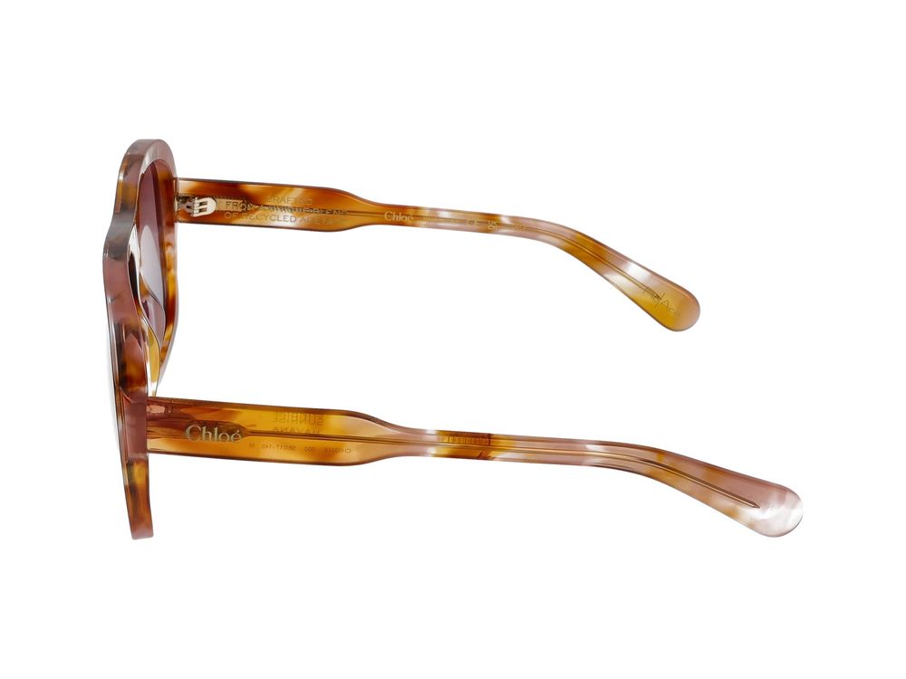 Sunglasses CH0331S 003 havana havana red 58/17/145