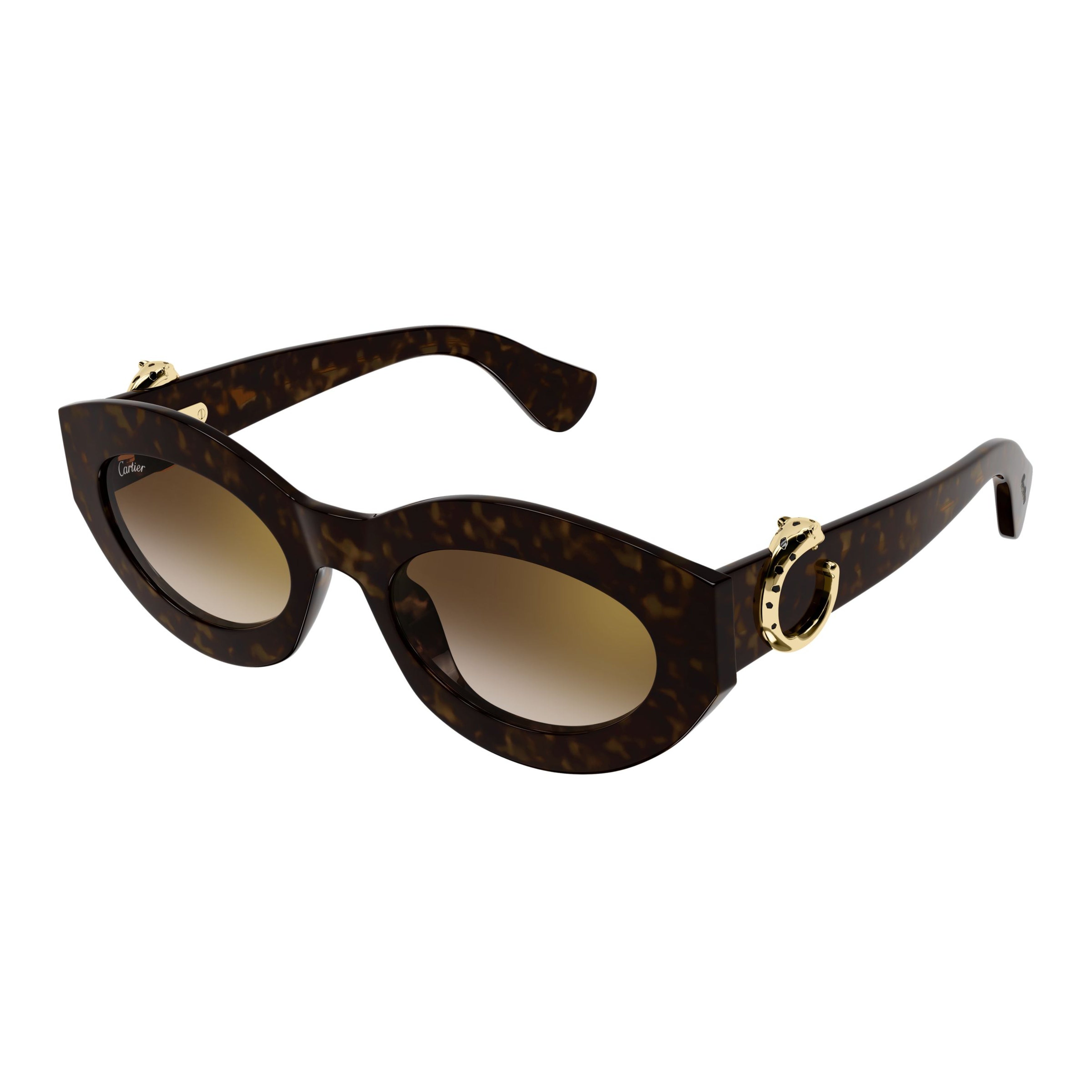Ct0638s Bold Tortoiseshell Cat-Eye Sunglasses