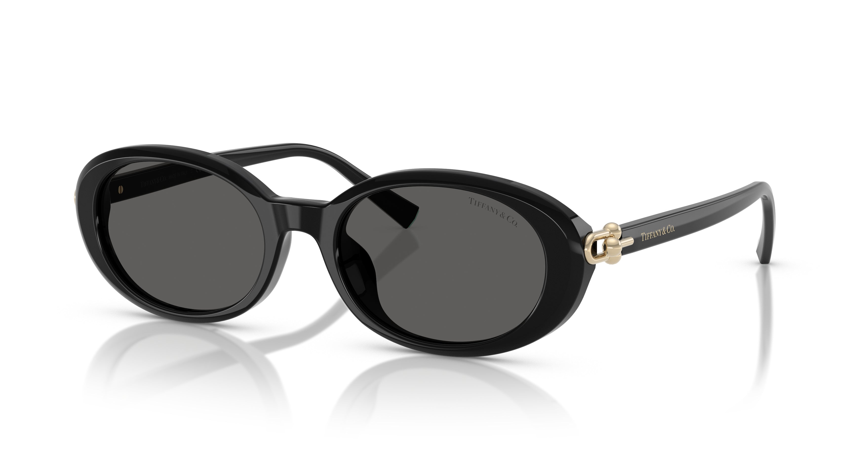 0tf4242d Large Round Black Acetate Sunglasses