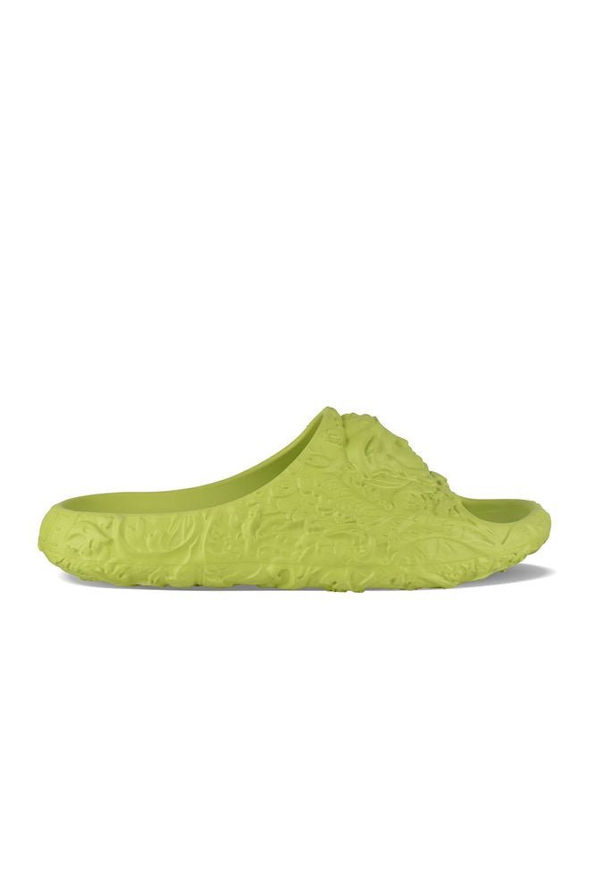 Medusa Dimension Slides